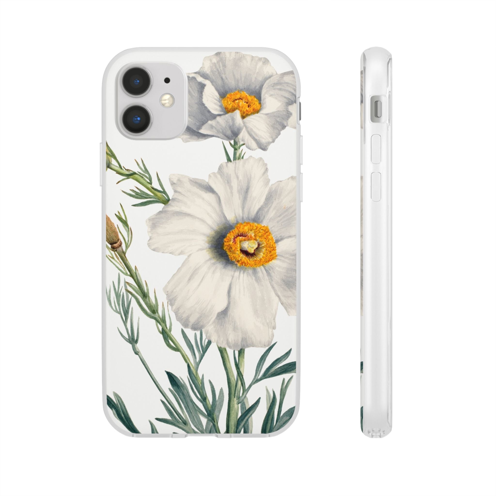 Matilija Poppy by Mary Vaux Walcott - Flexi Case