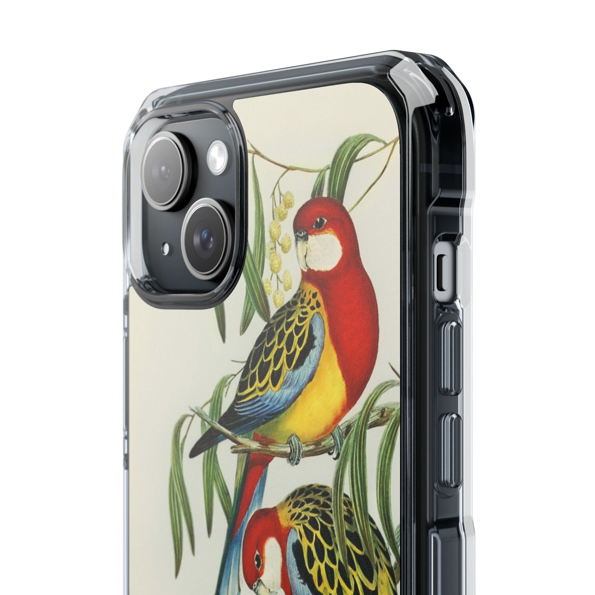 Rosehill Parakeet by Elizabeth Gould - Magnetic Clear Impact Case