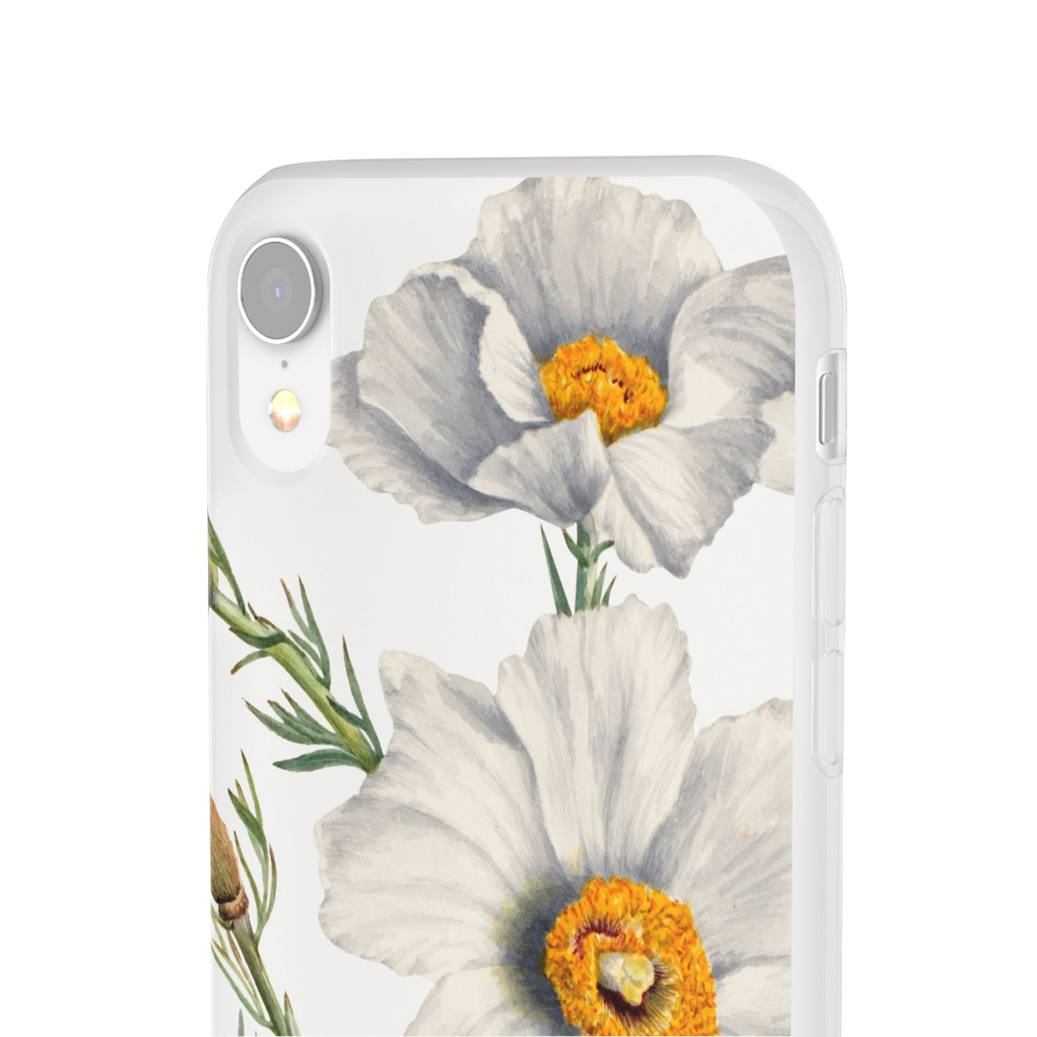 Matilija Poppy by Mary Vaux Walcott - Flexi Case