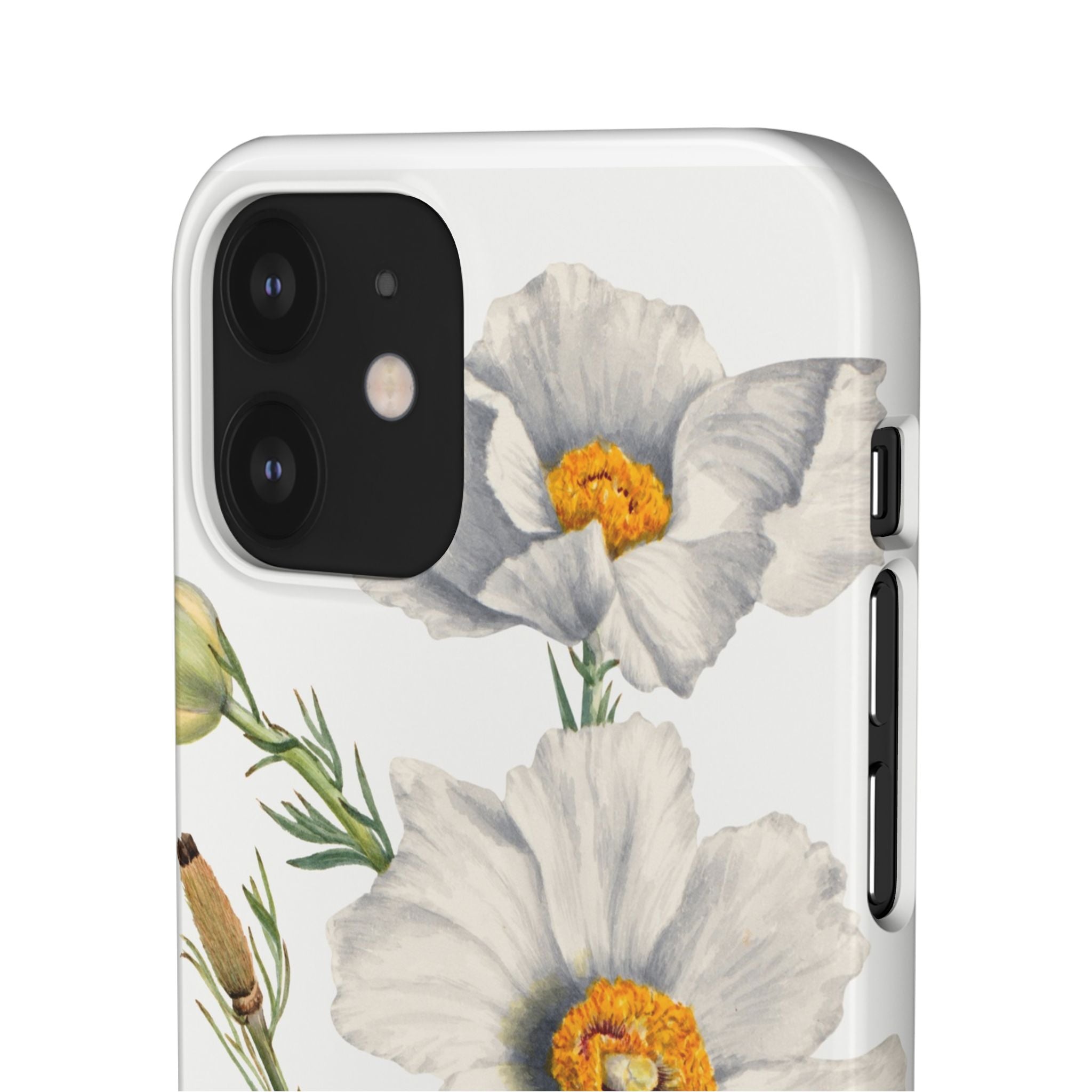 Matilija Poppy by Mary Vaux Walcott - Snap Case