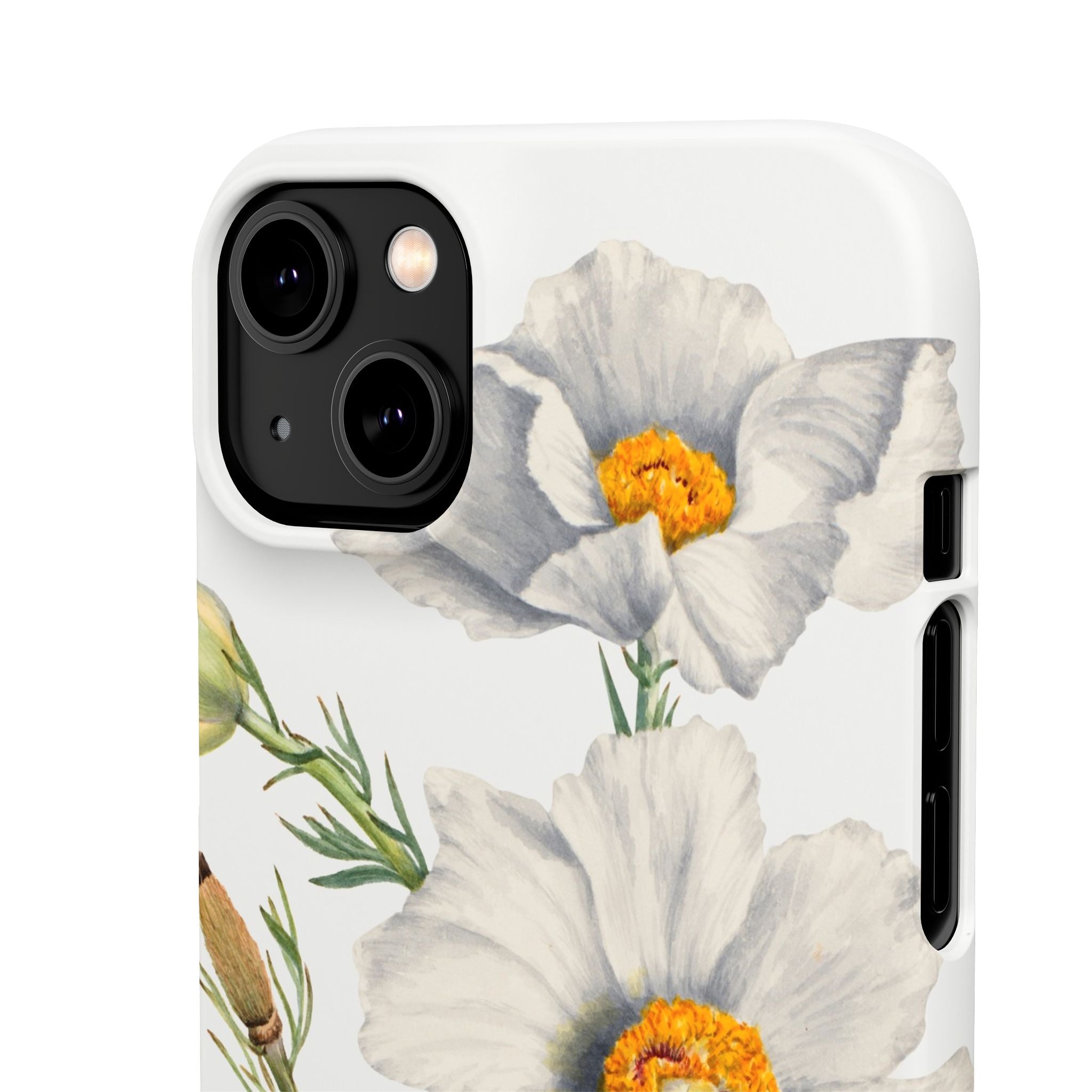 Matilija Poppy by Mary Vaux Walcott - Snap Case