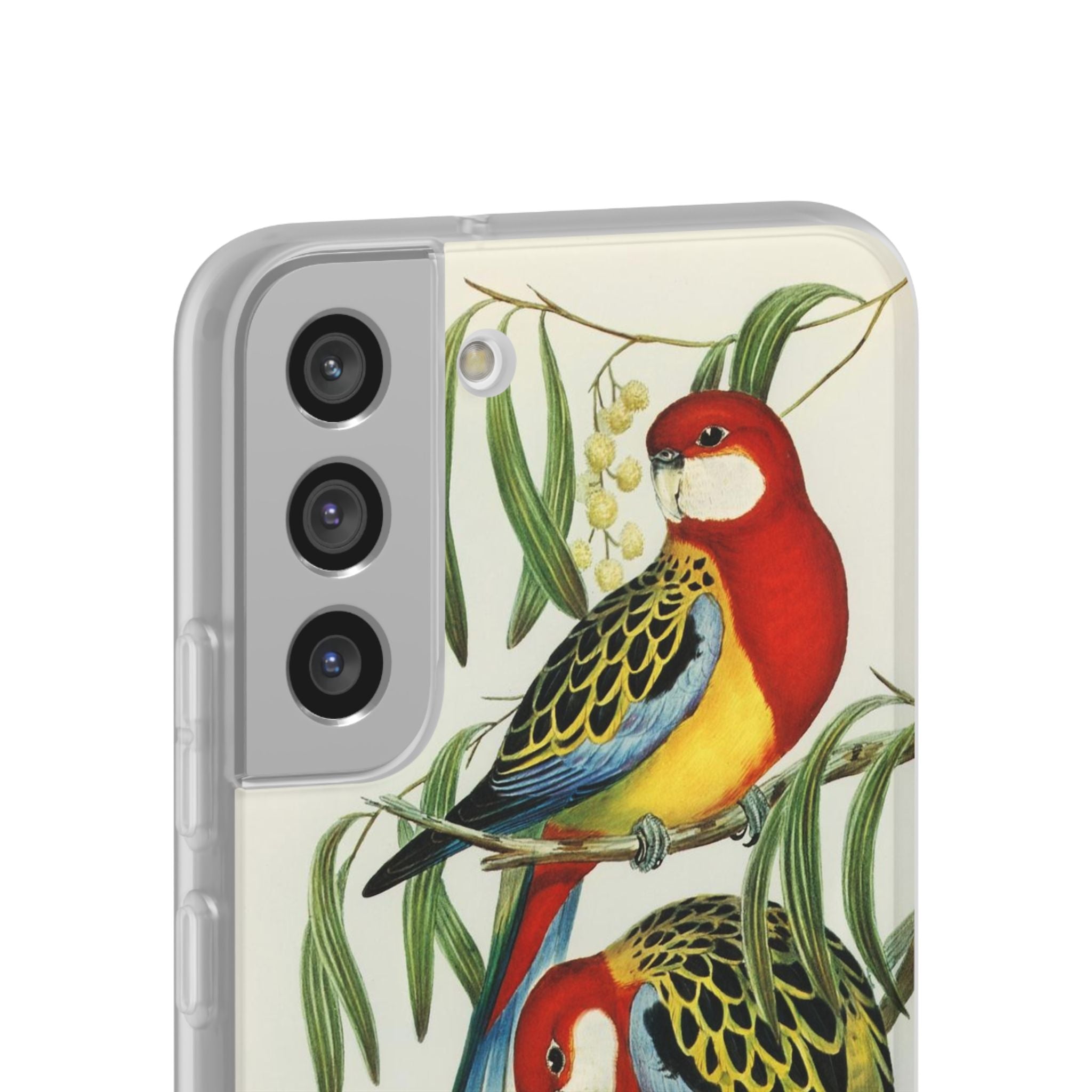 Rosehill Parakeet by Elizabeth Gould - Flexi Case