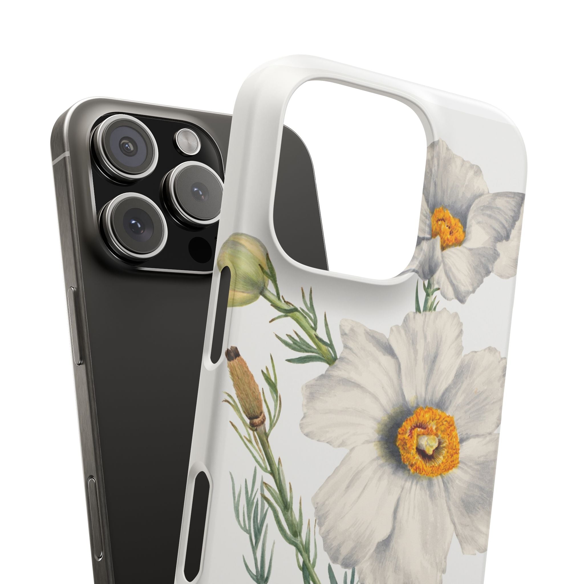 Matilija Poppy by Mary Vaux Walcott - Snap Case