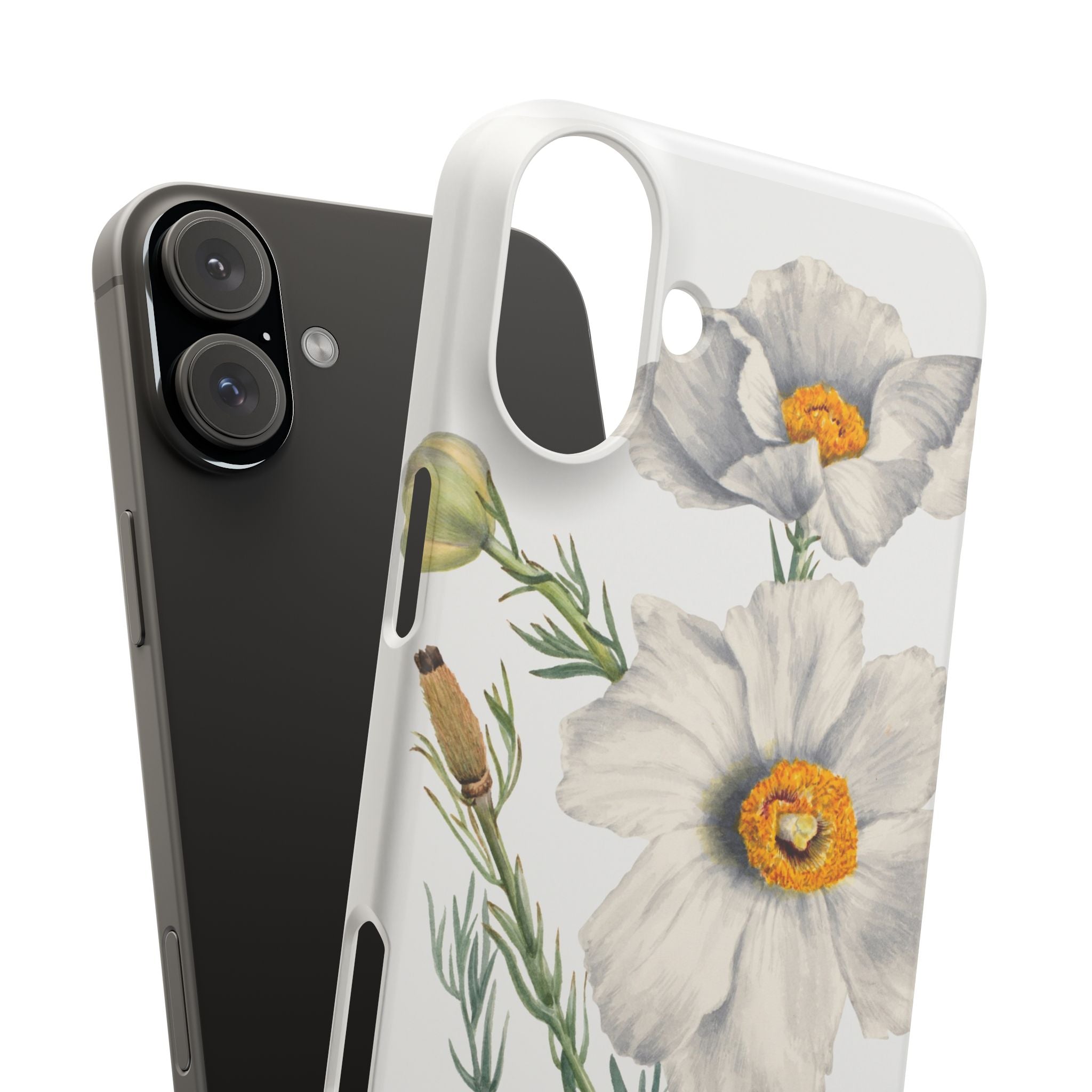 Matilija Poppy by Mary Vaux Walcott - Snap Case