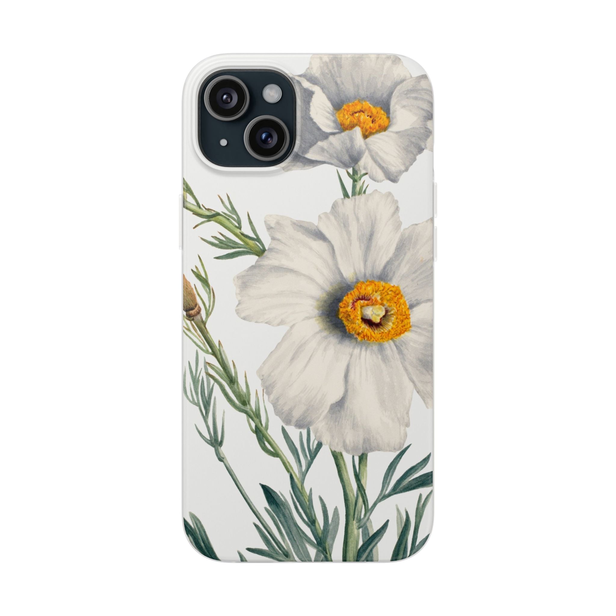 Matilija Poppy by Mary Vaux Walcott - Flexi Case