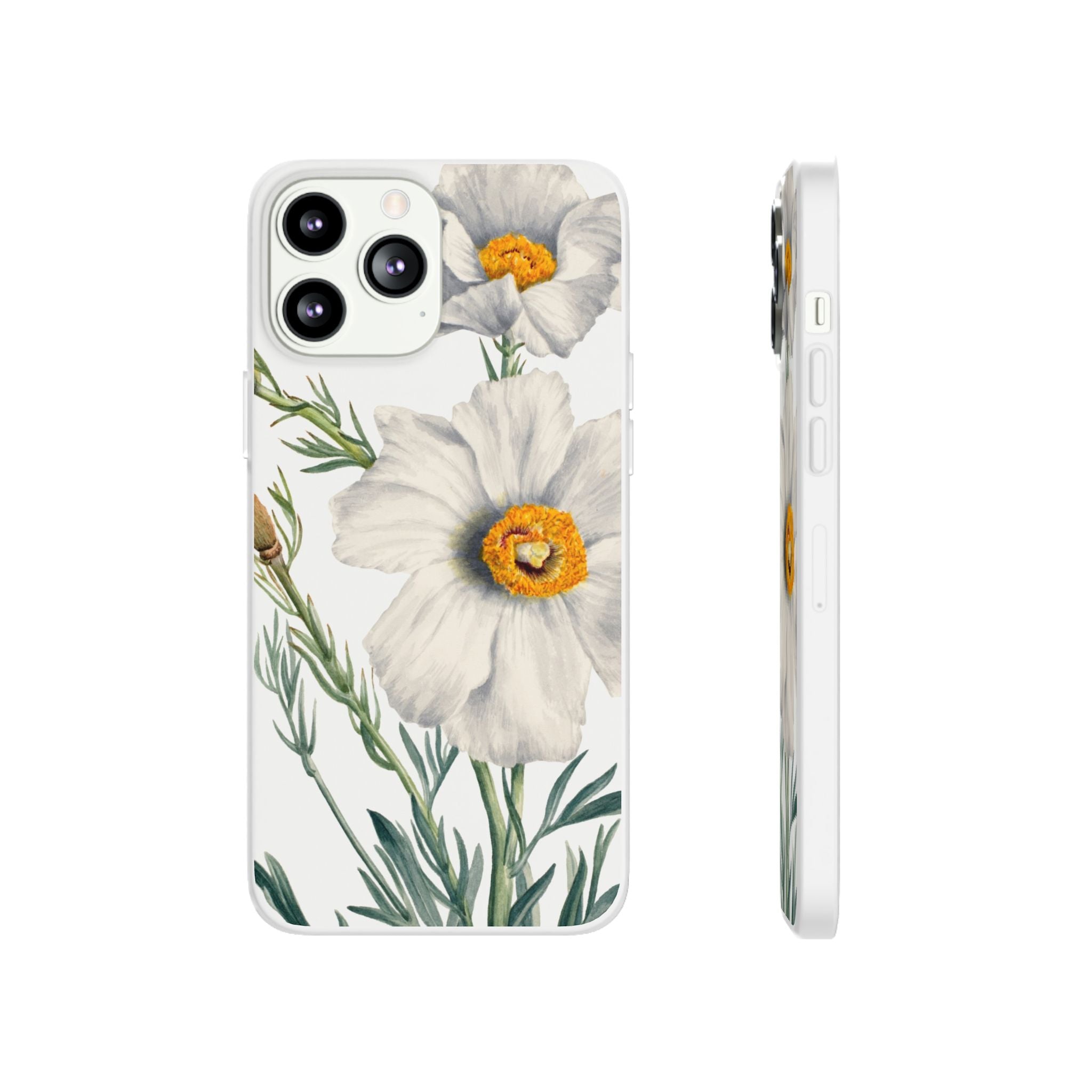 Matilija Poppy by Mary Vaux Walcott - Flexi Case