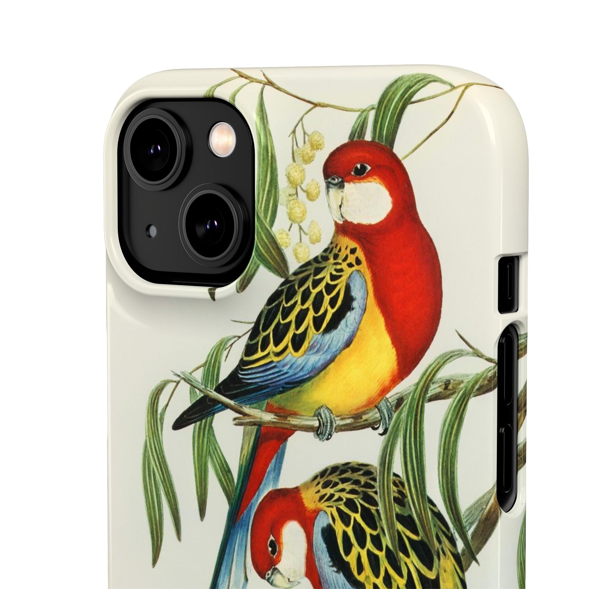 Rosehill Parakeet by Elizabeth Gould - Snap Case