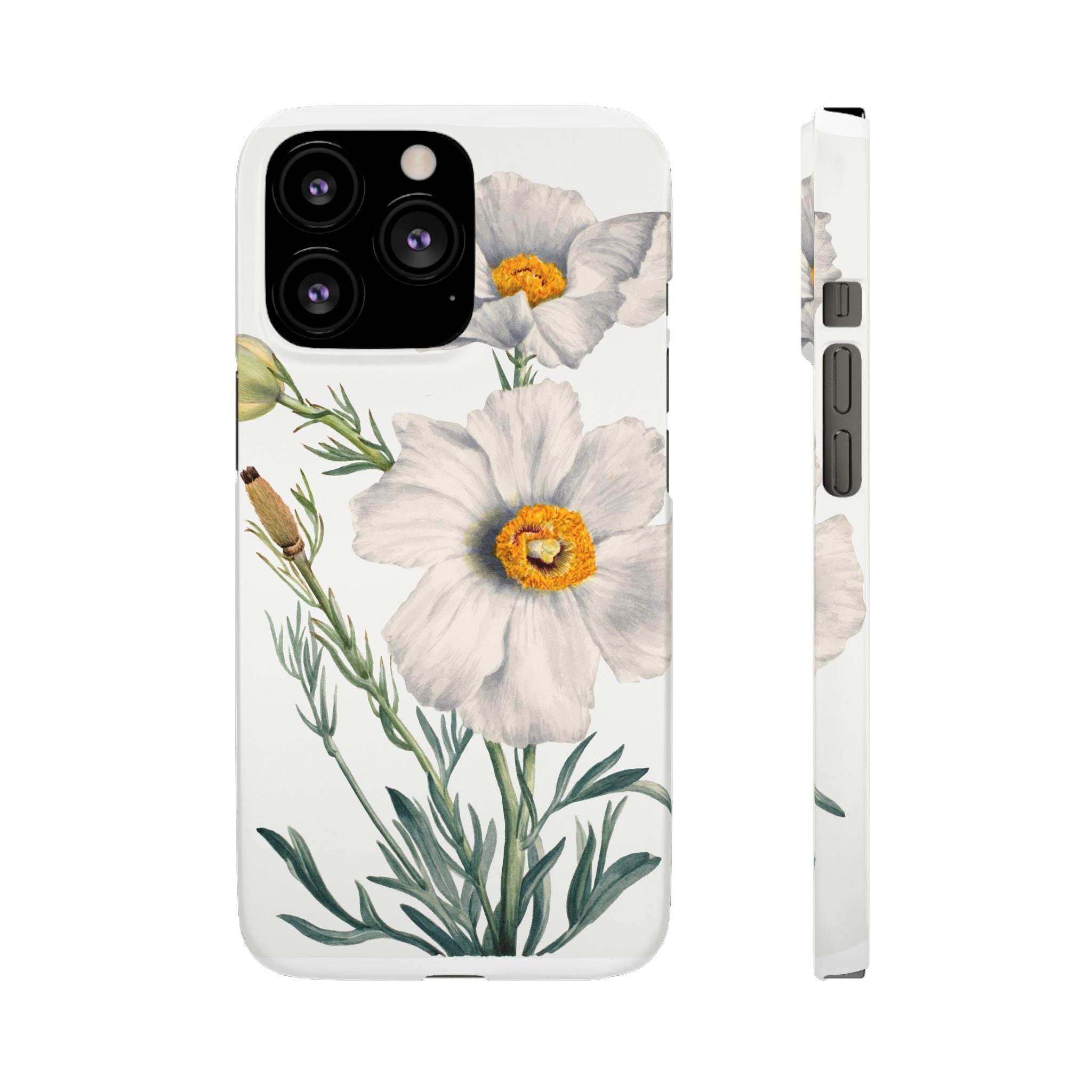 Matilija Poppy by Mary Vaux Walcott - Snap Case