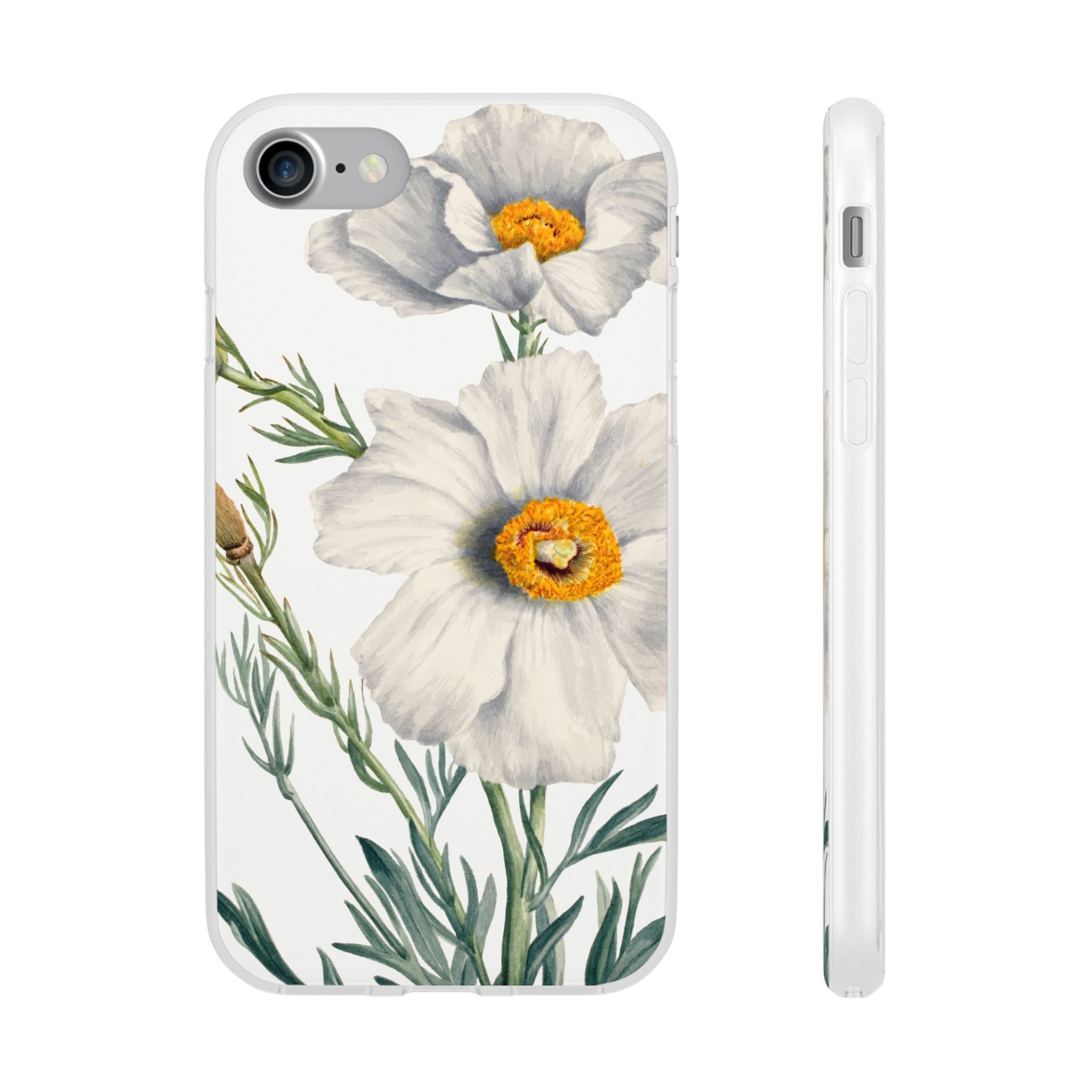 Matilija Poppy by Mary Vaux Walcott - Flexi Case