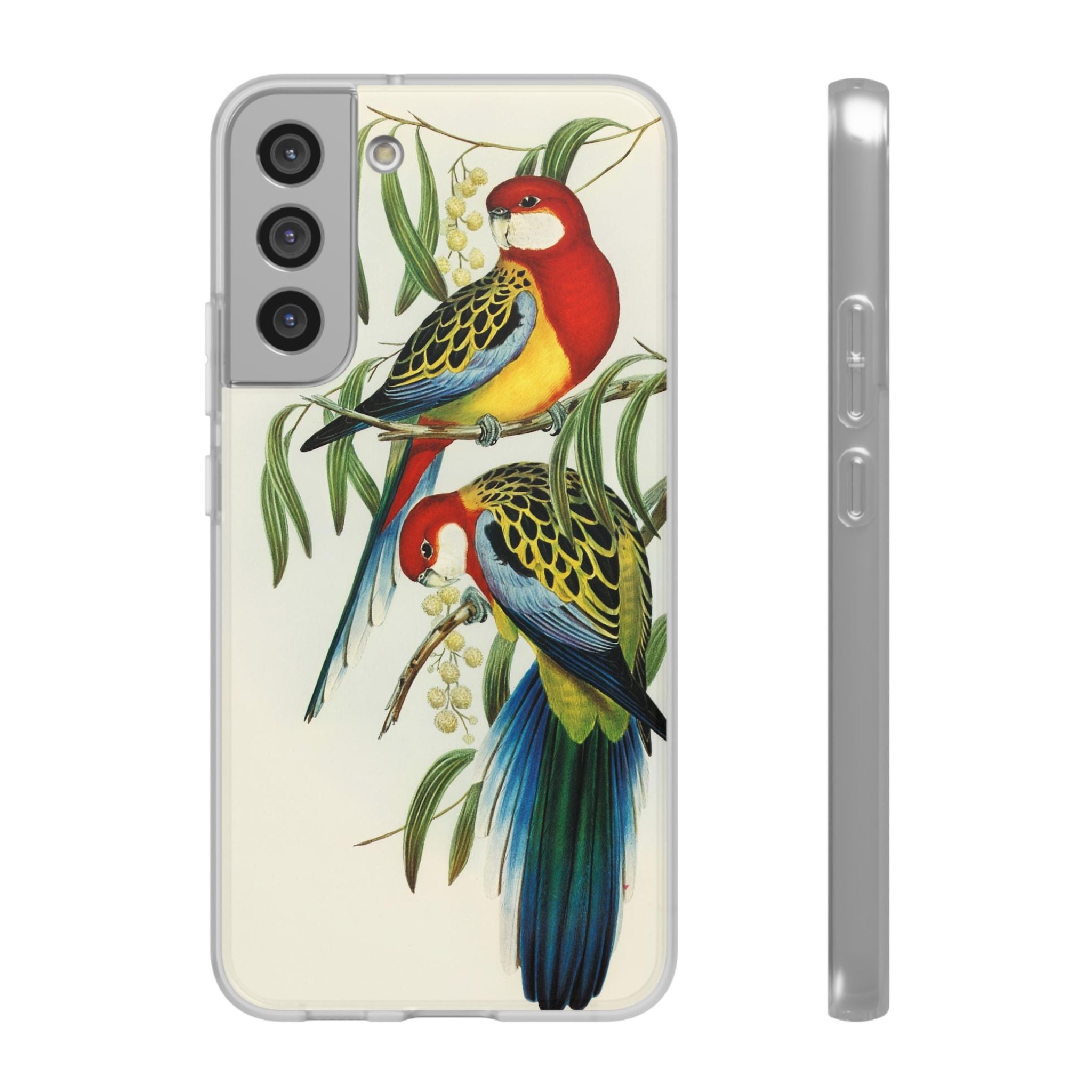 Rosehill Parakeet by Elizabeth Gould - Flexi Case