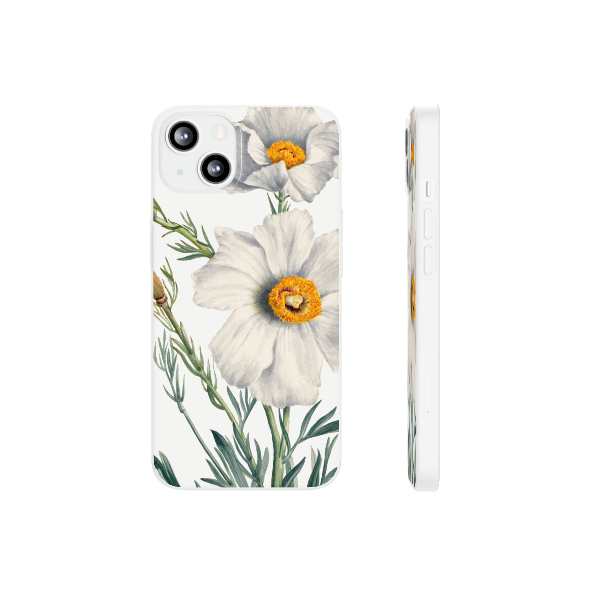 Matilija Poppy by Mary Vaux Walcott - Flexi Case