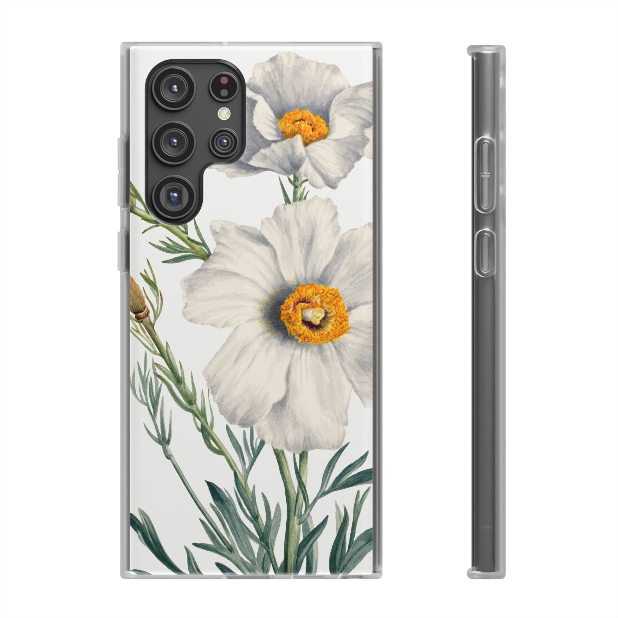 Matilija Poppy by Mary Vaux Walcott - Flexi Case