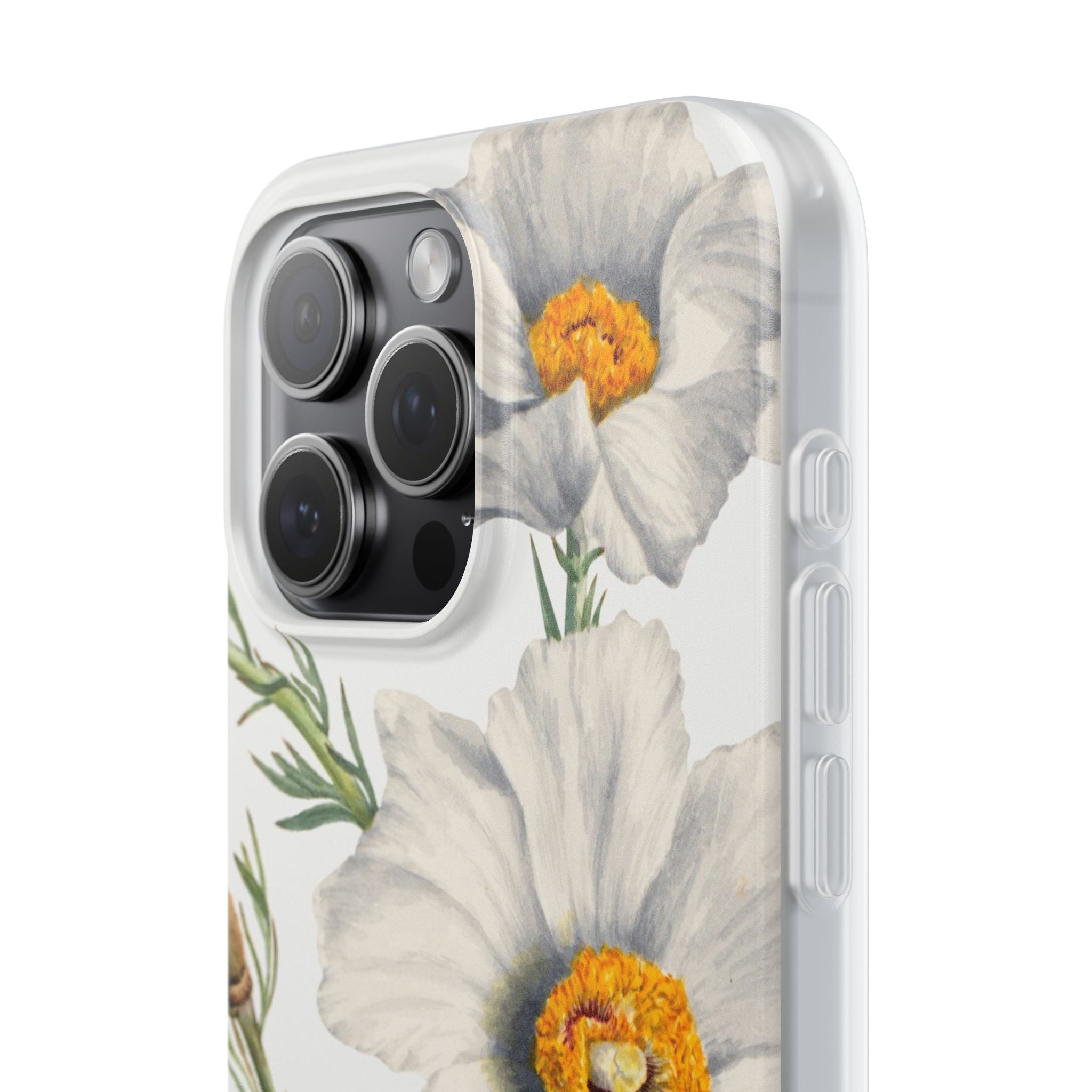 Matilija Poppy by Mary Vaux Walcott - Flexi Case