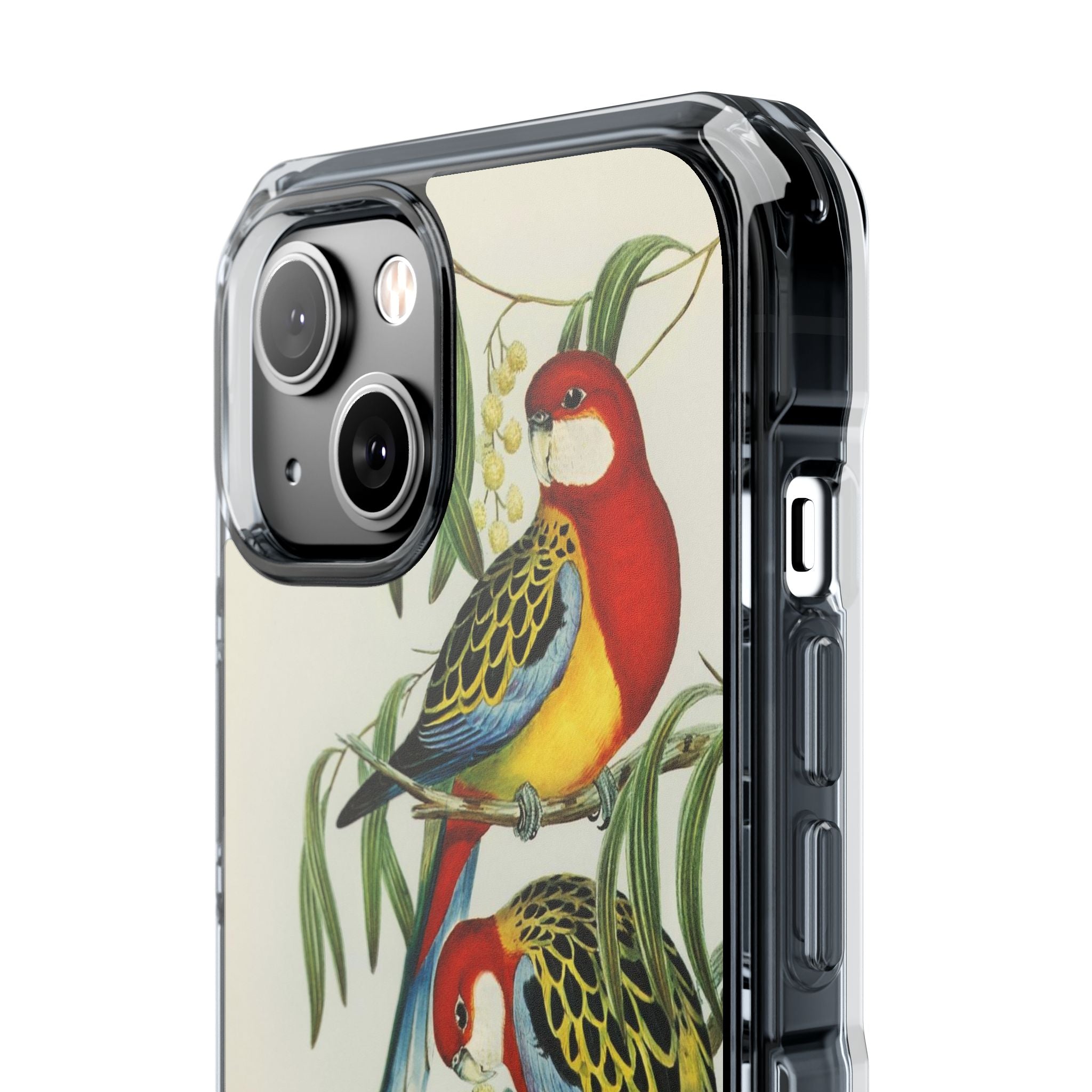 Rosehill Parakeet by Elizabeth Gould - Magnetic Clear Impact Case