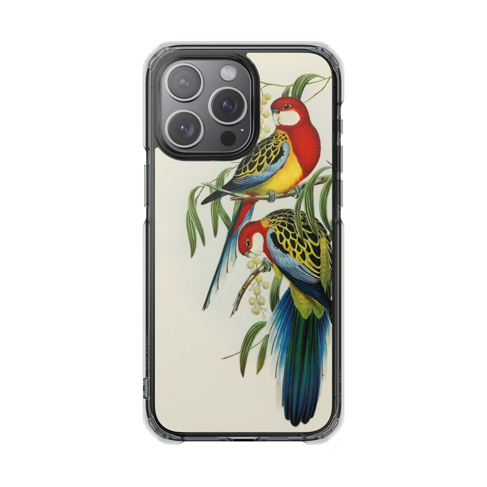 Rosehill Parakeet by Elizabeth Gould - Magnetic Clear Impact Case