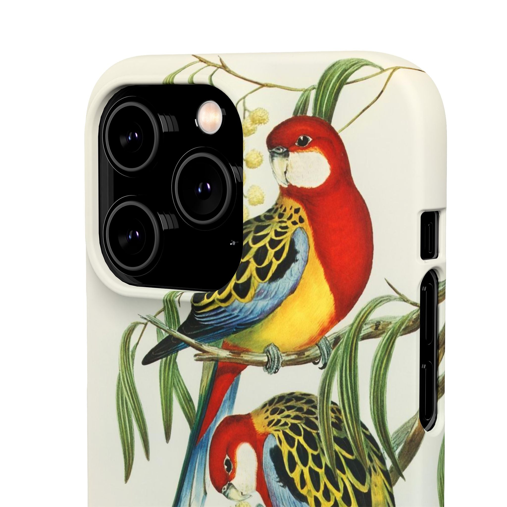 Rosehill Parakeet by Elizabeth Gould - Snap Case