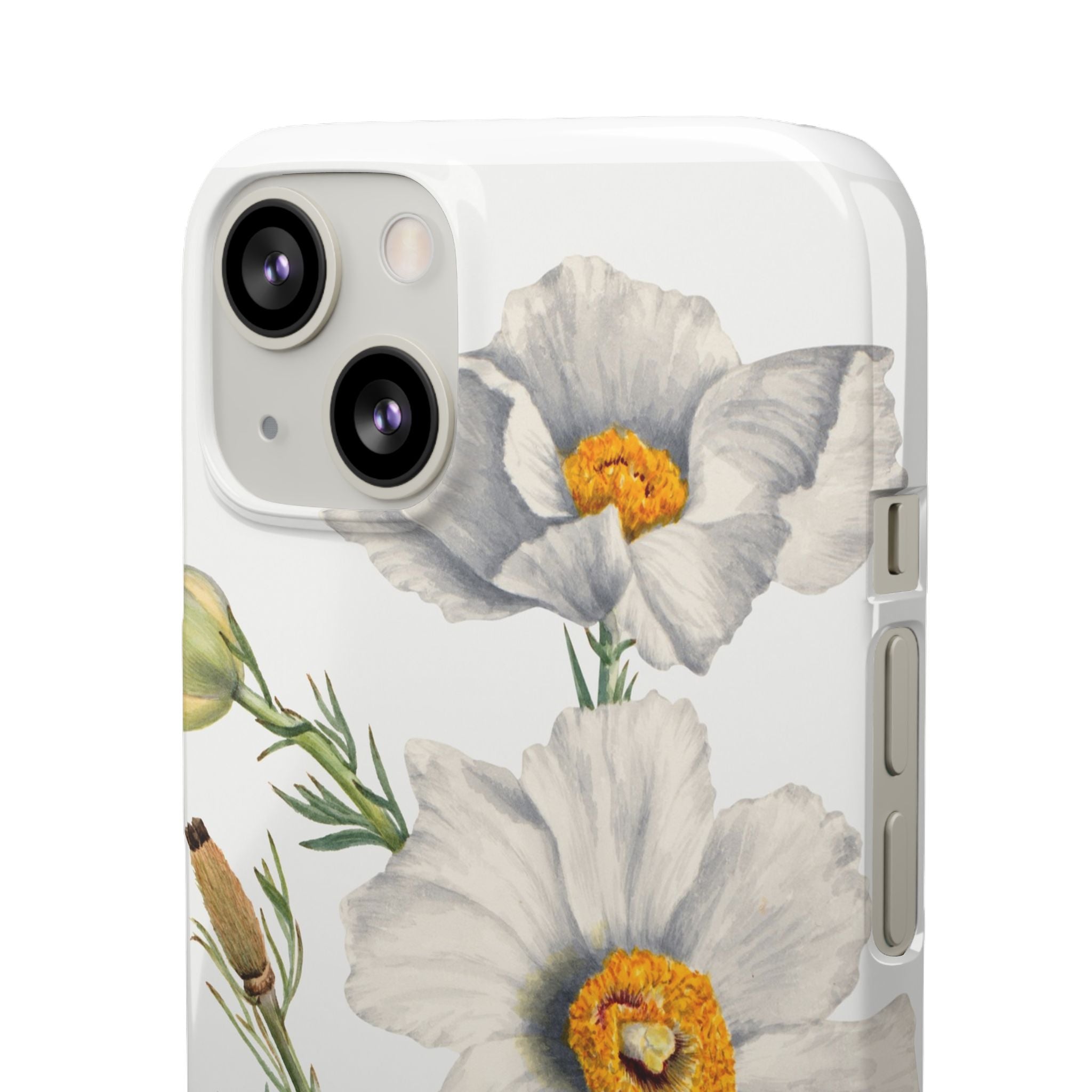 Matilija Poppy by Mary Vaux Walcott - Snap Case