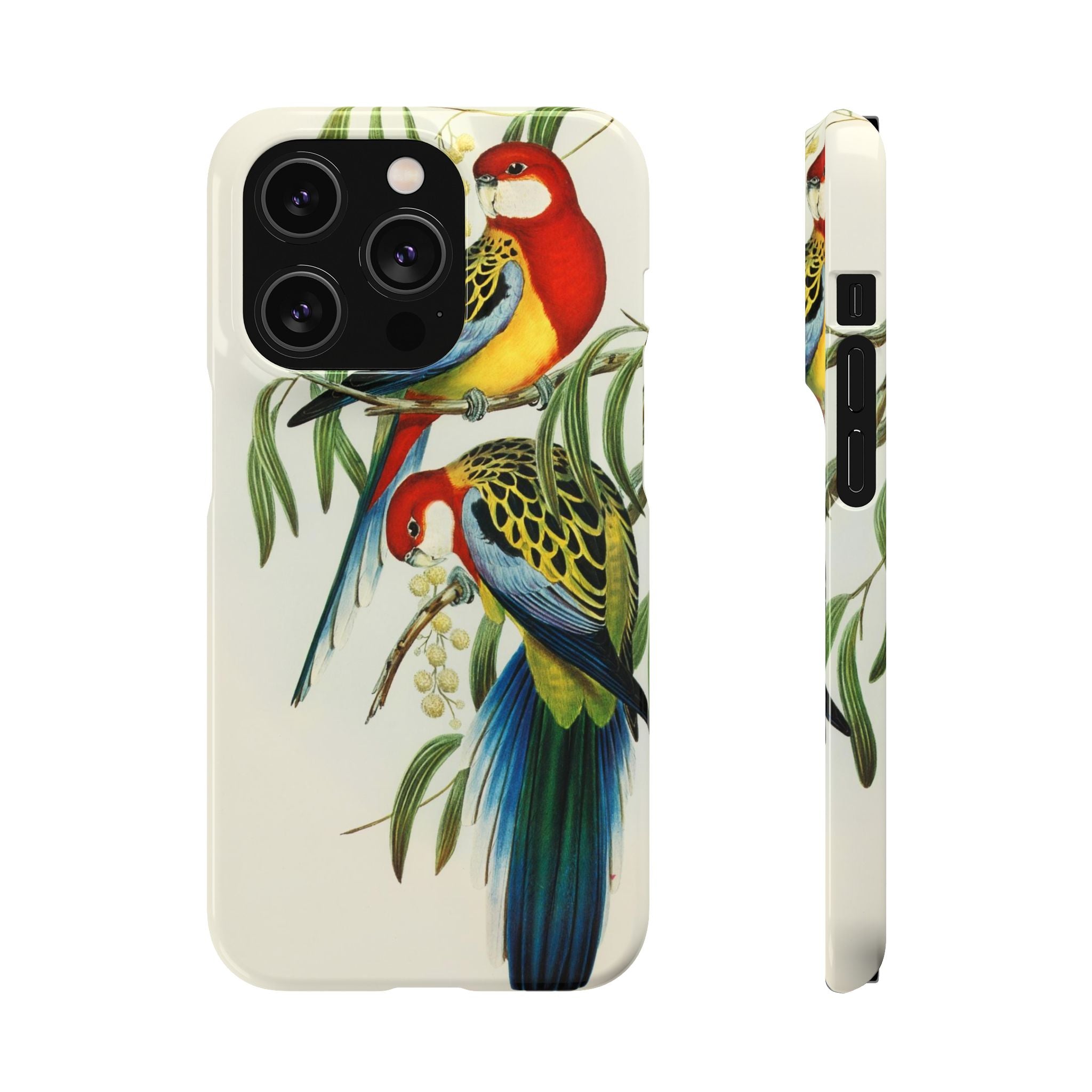 Rosehill Parakeet by Elizabeth Gould - Snap Case