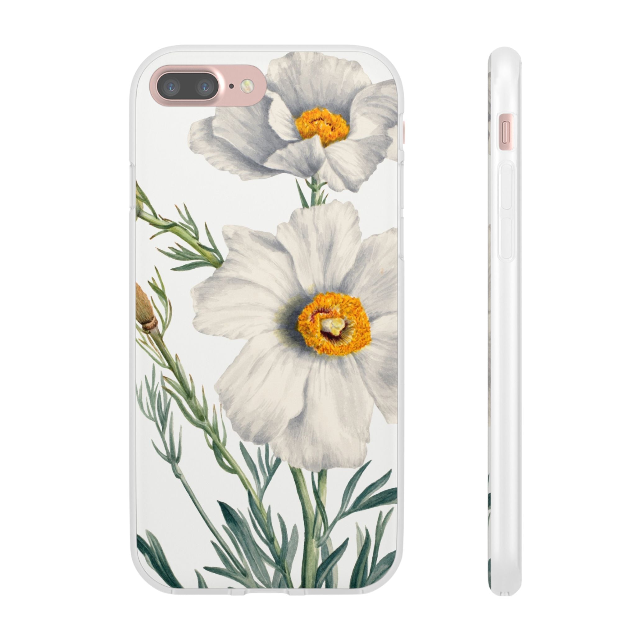 Matilija Poppy by Mary Vaux Walcott - Flexi Case