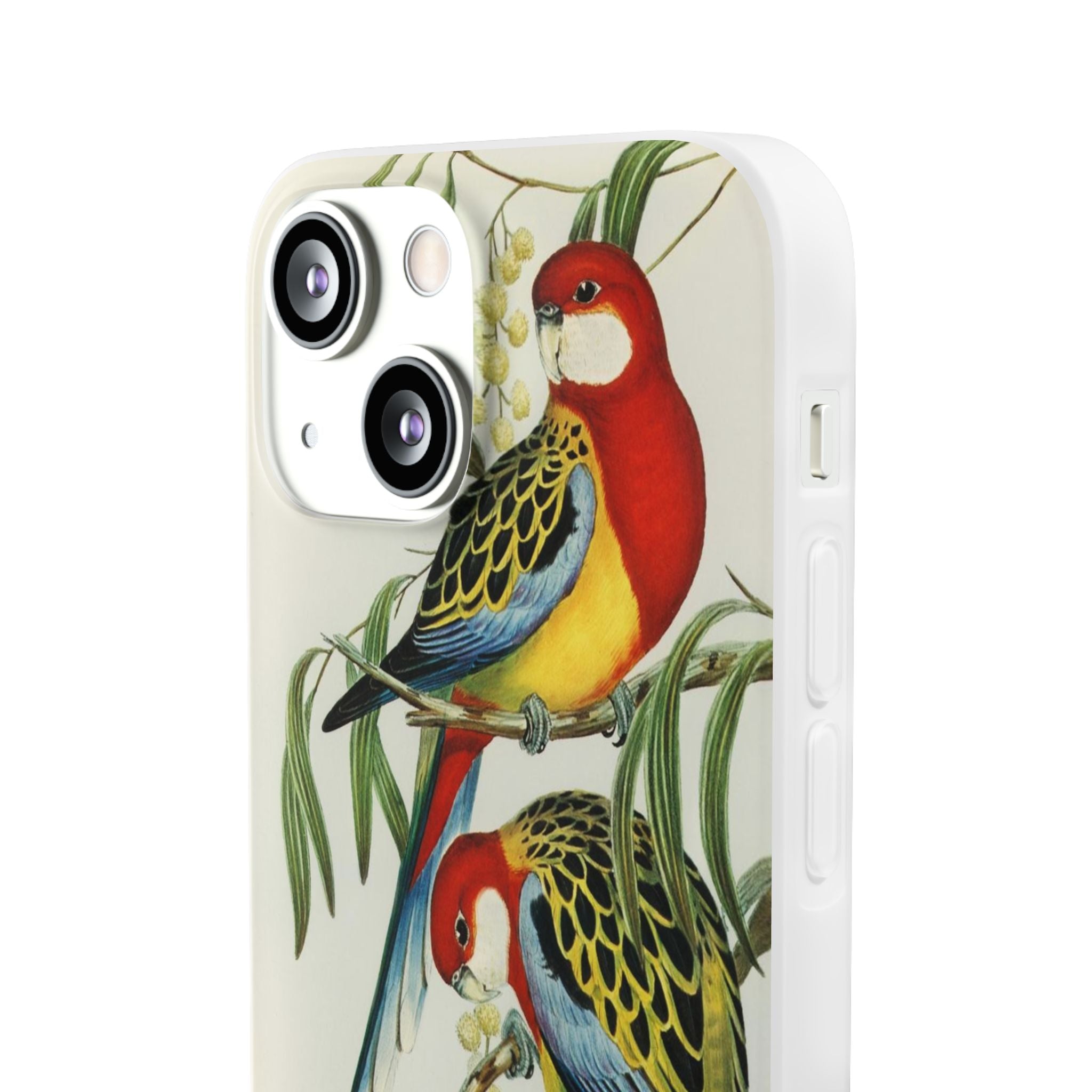 Rosehill Parakeet by Elizabeth Gould - Flexi Case