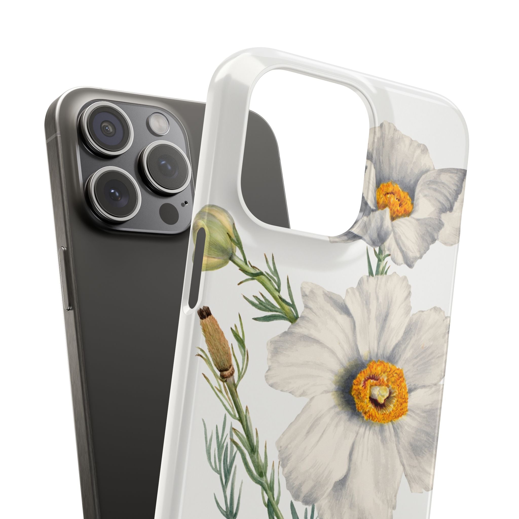 Matilija Poppy by Mary Vaux Walcott - Snap Case