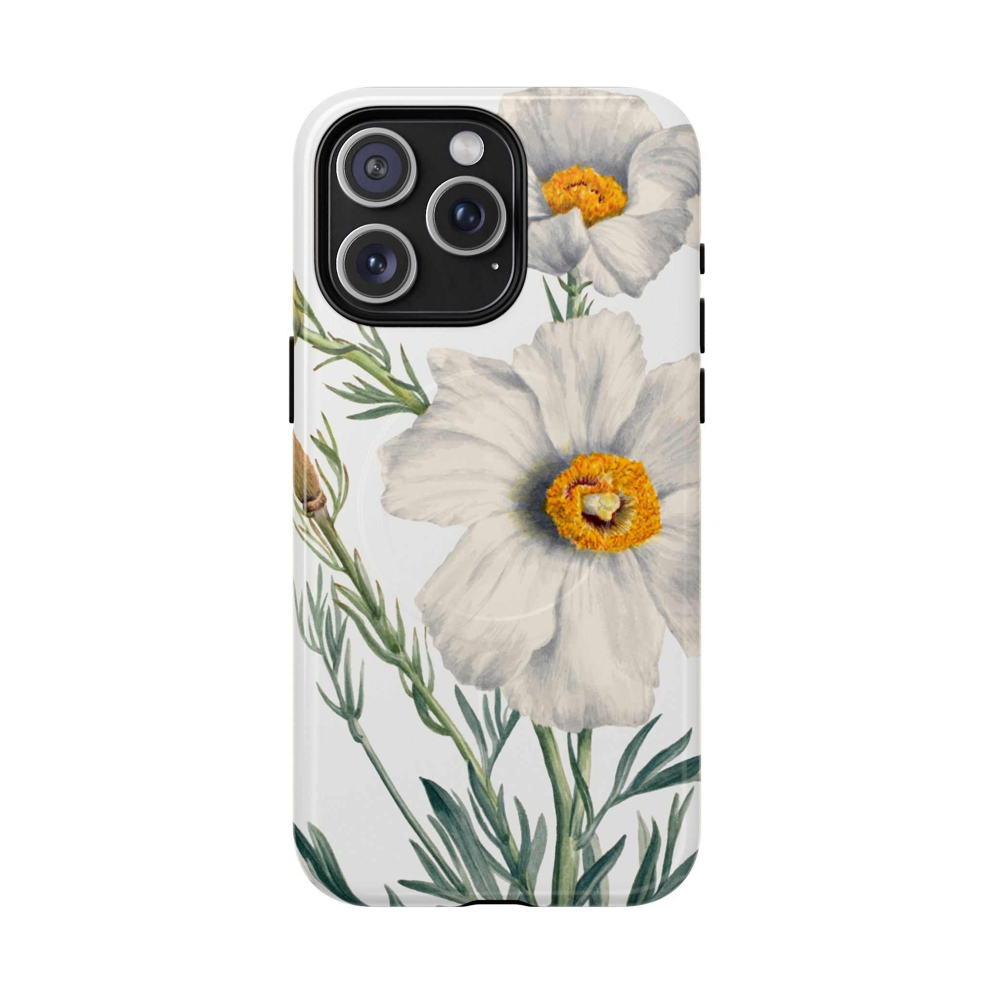 Matilija Poppy by Mary Vaux Walcott - Tough Magnetic Case