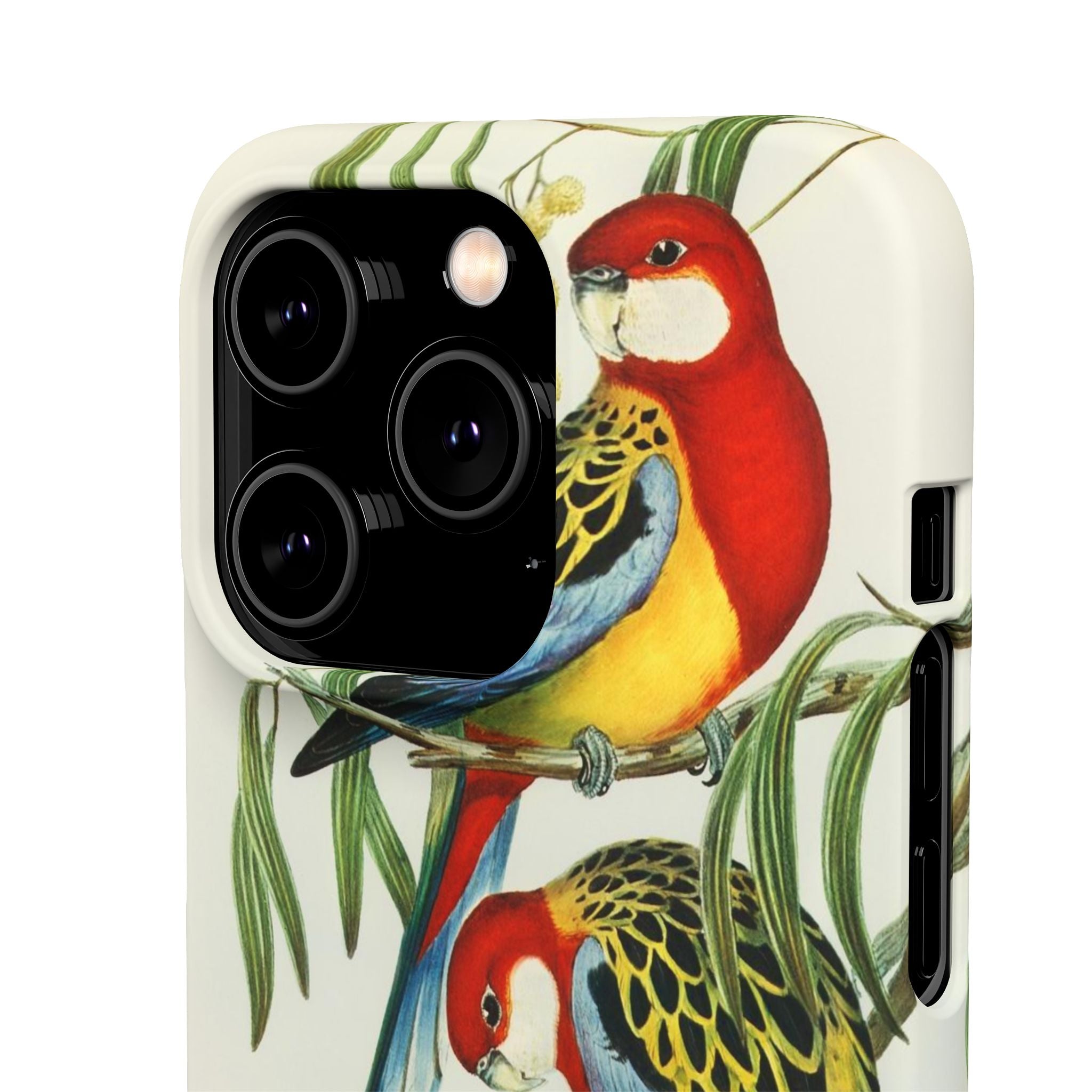 Rosehill Parakeet by Elizabeth Gould - Snap Case