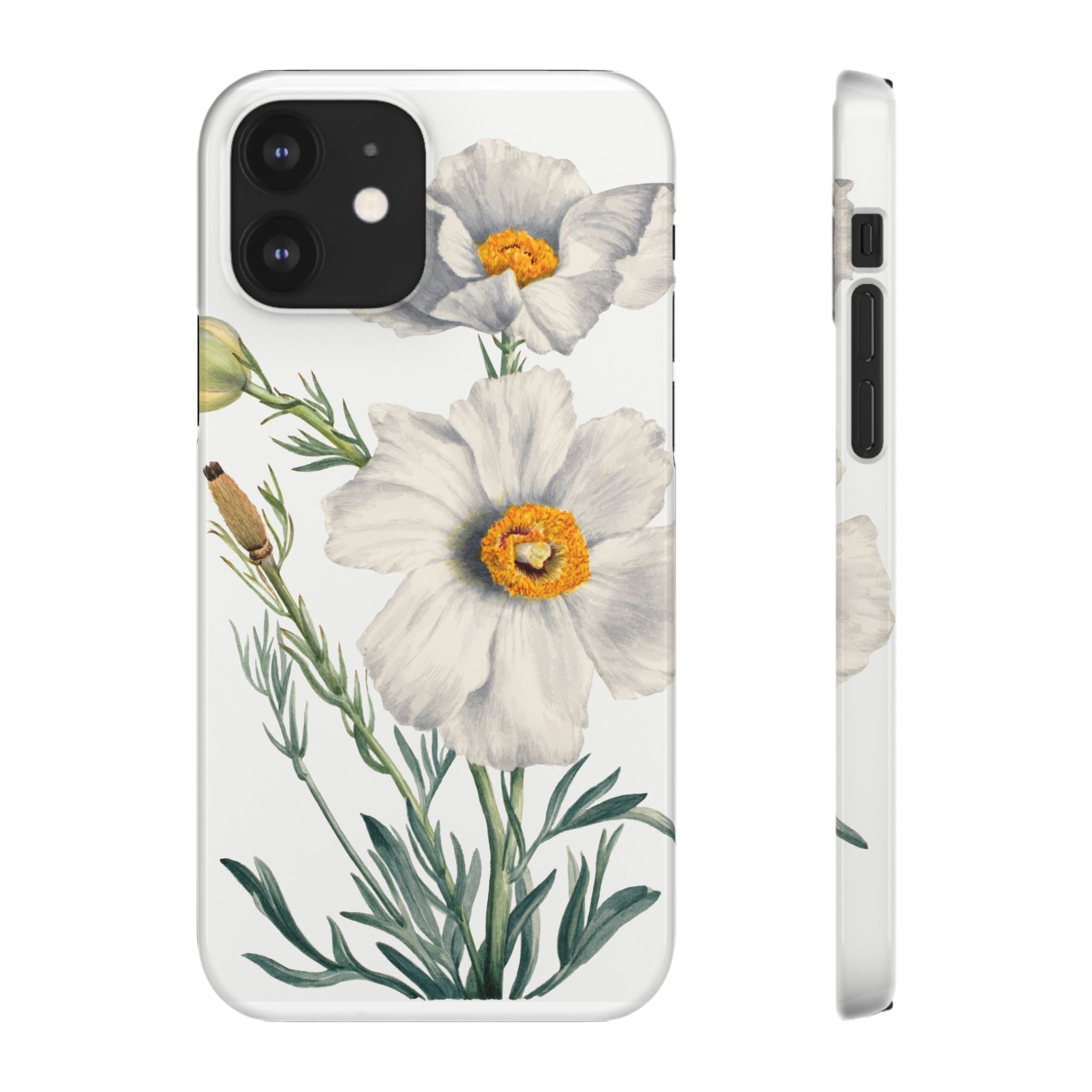 Matilija Poppy by Mary Vaux Walcott - Snap Case