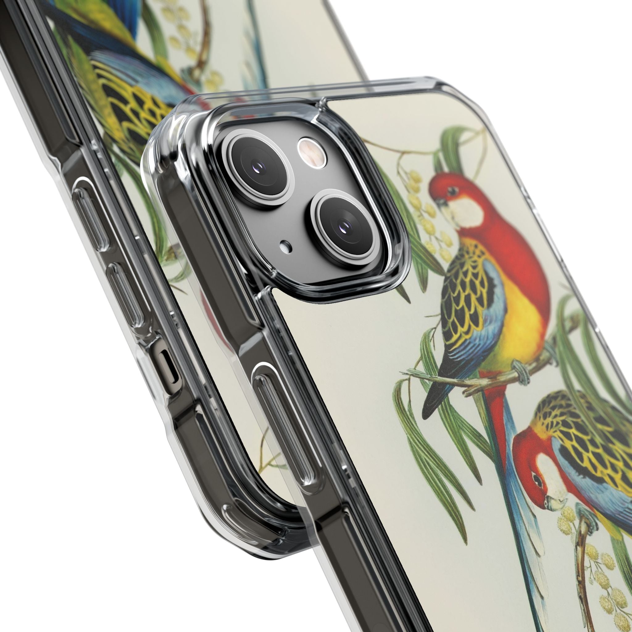 Rosehill Parakeet by Elizabeth Gould - Magnetic Clear Impact Case