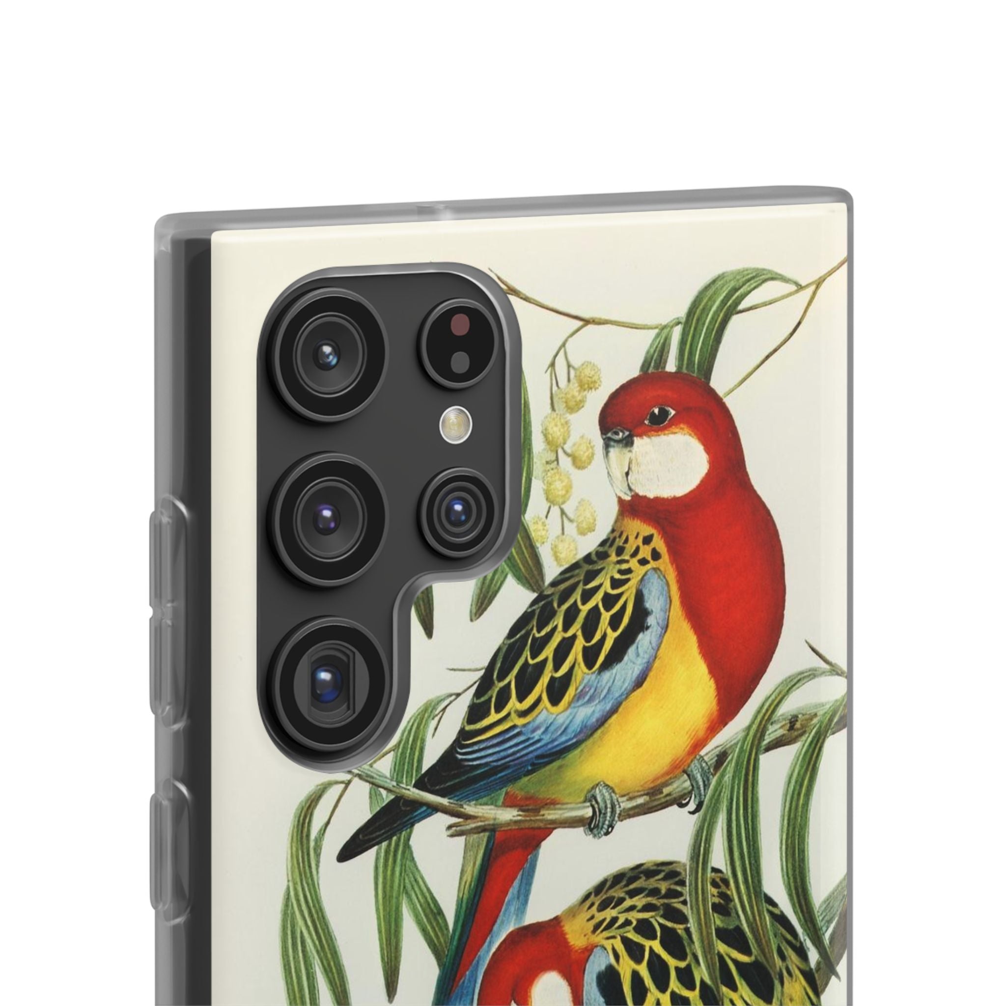 Rosehill Parakeet by Elizabeth Gould - Flexi Case