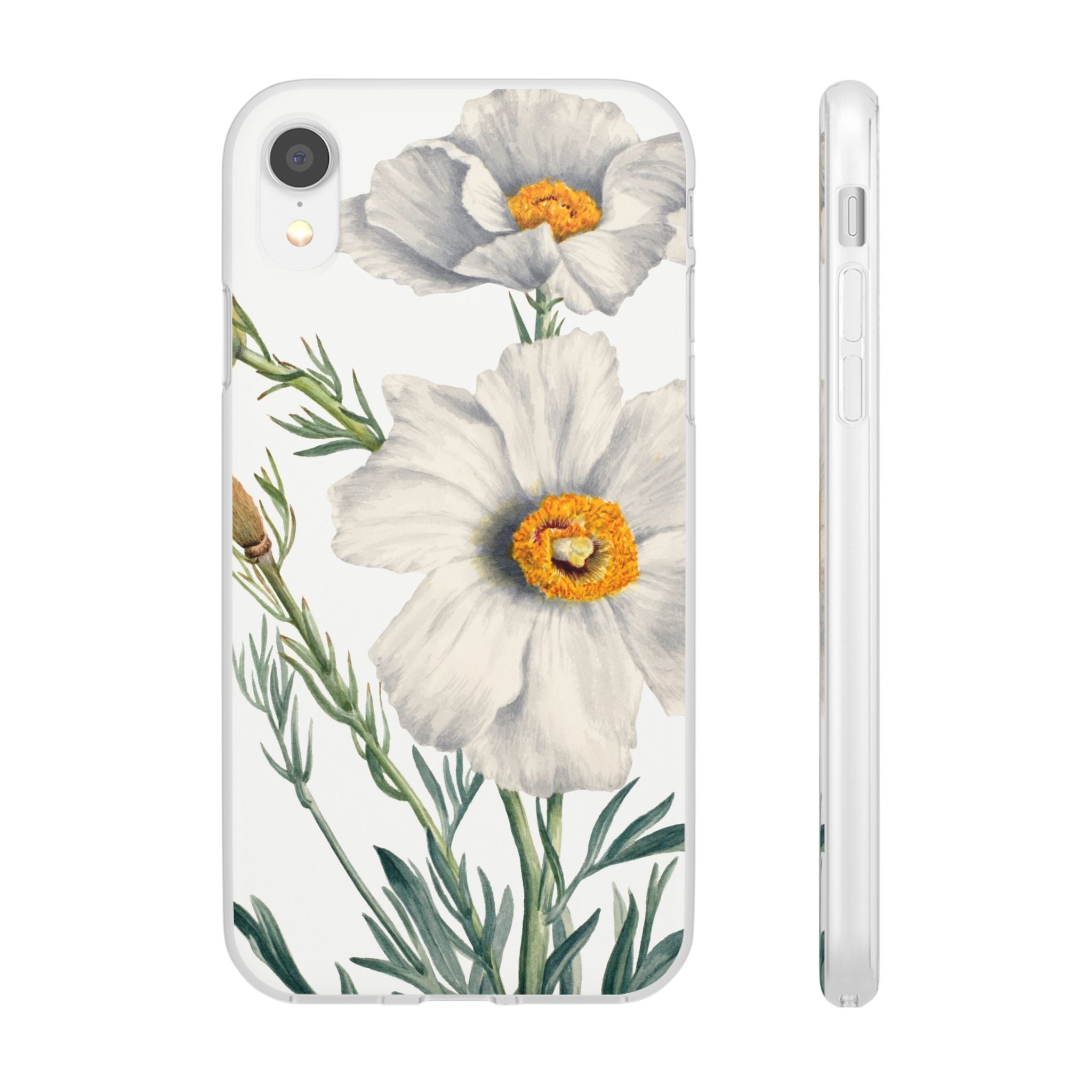 Matilija Poppy by Mary Vaux Walcott - Flexi Case