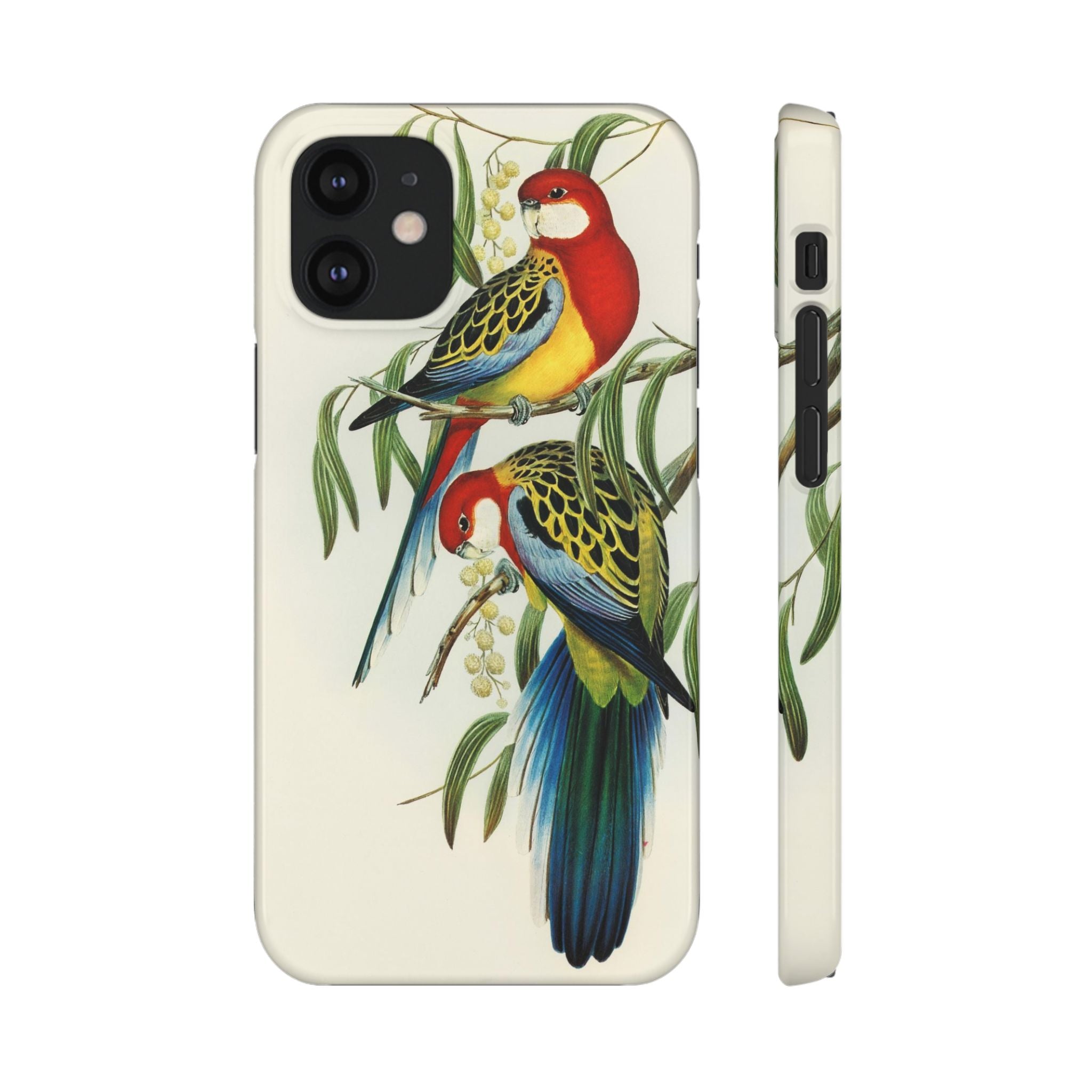 Rosehill Parakeet by Elizabeth Gould - Snap Case