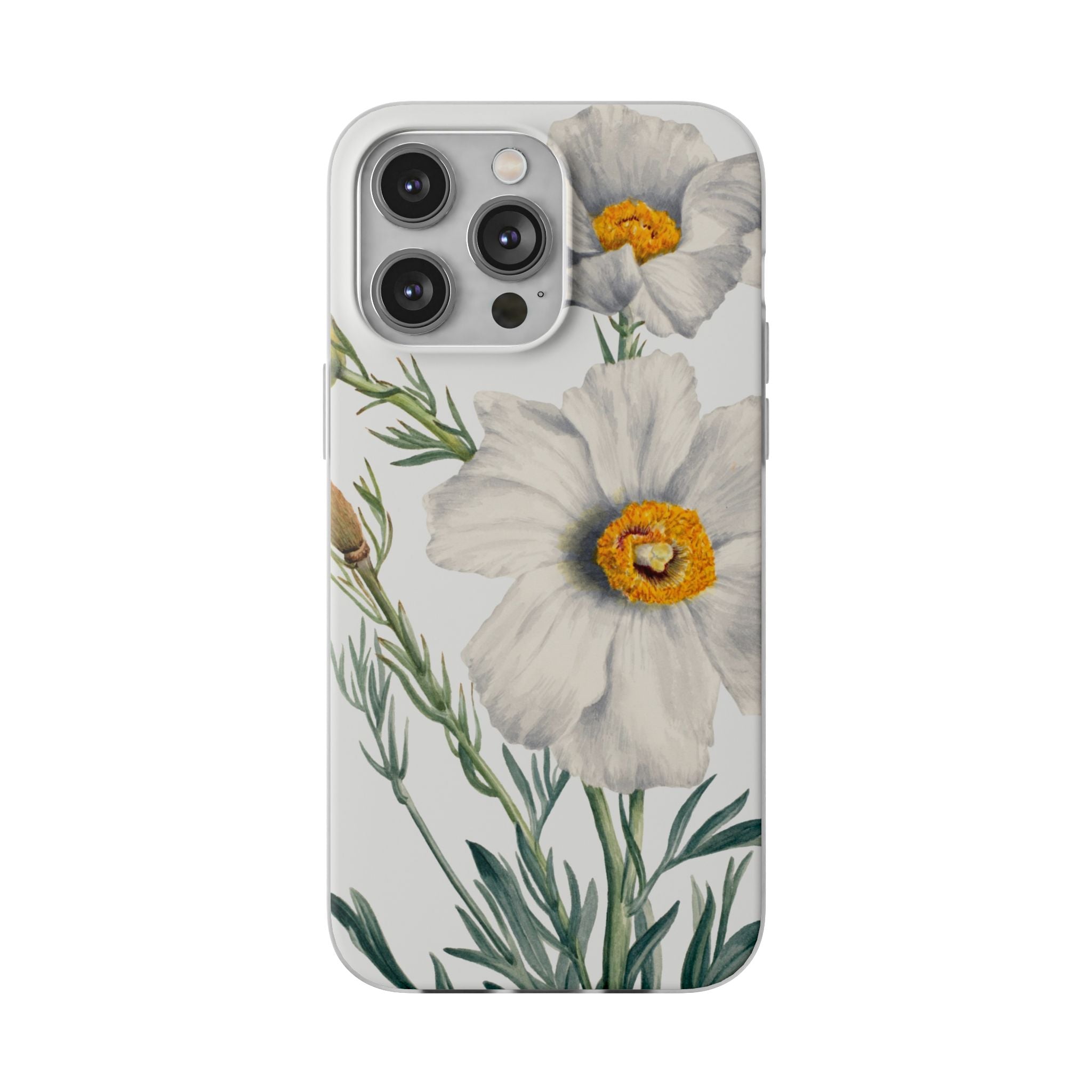 Matilija Poppy by Mary Vaux Walcott - Flexi Case