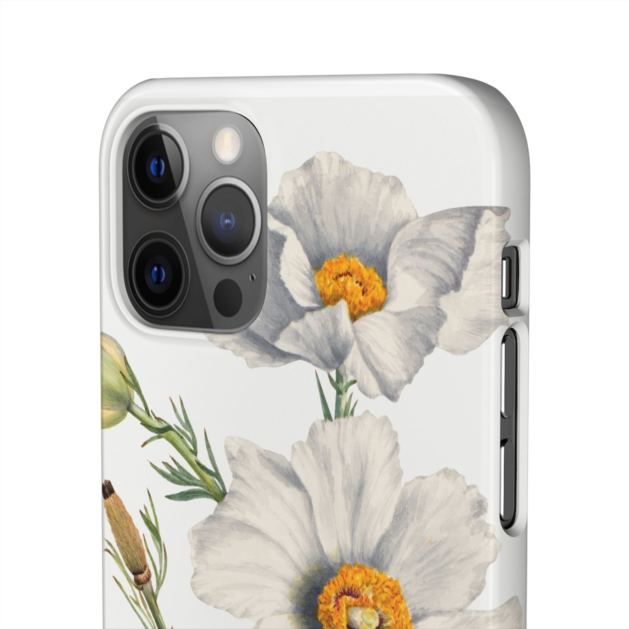 Matilija Poppy by Mary Vaux Walcott - Snap Case