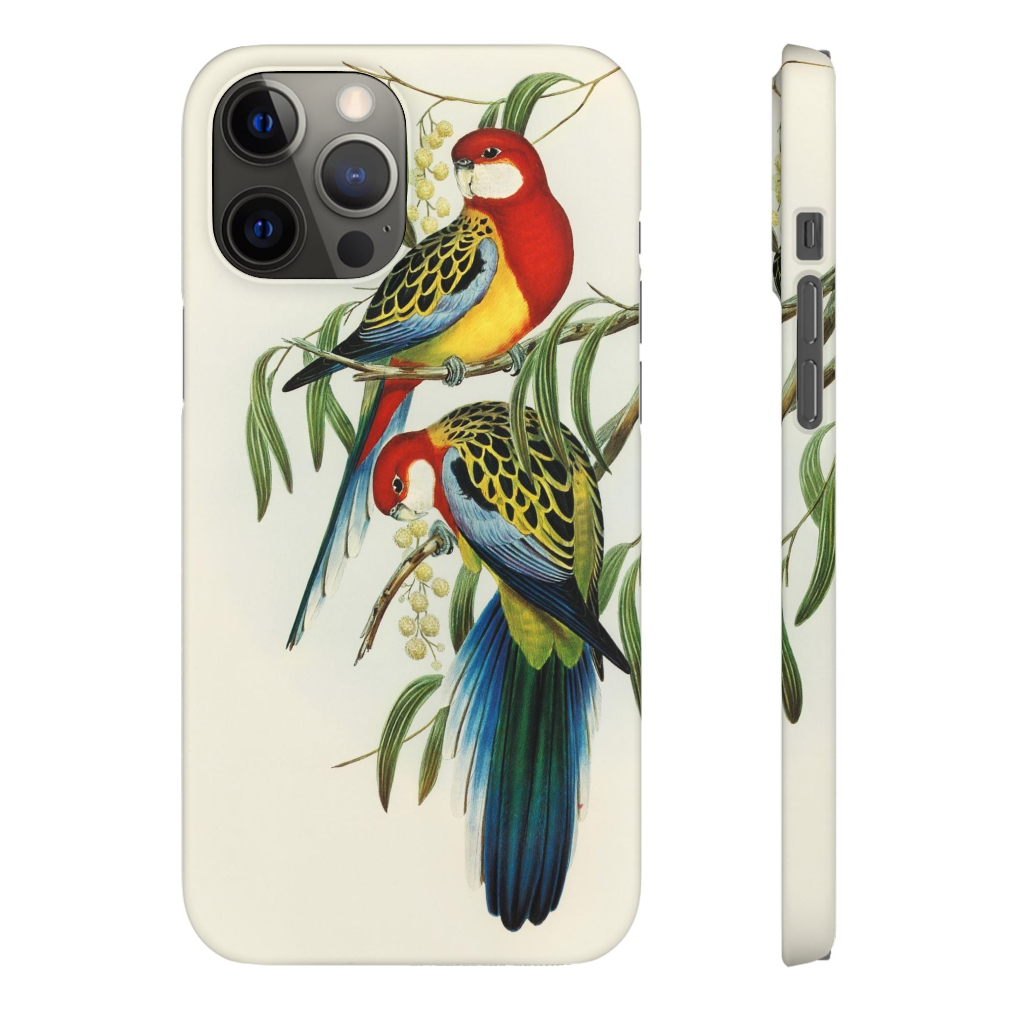 Rosehill Parakeet by Elizabeth Gould - Snap Case