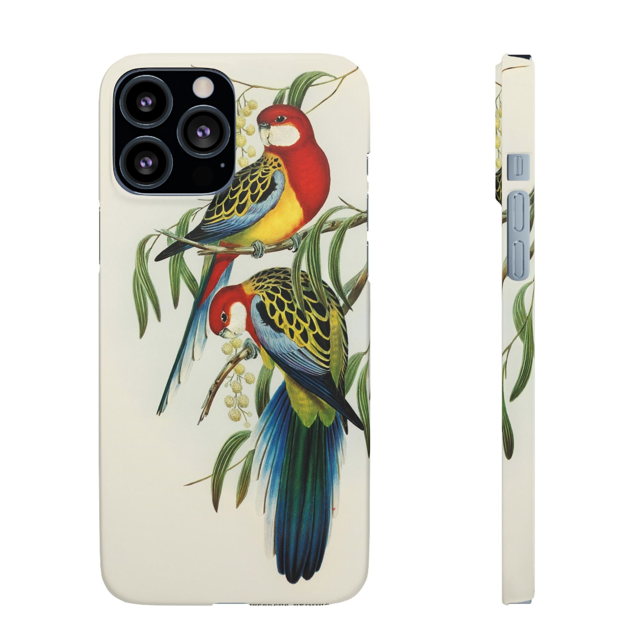 Rosehill Parakeet by Elizabeth Gould - Snap Case