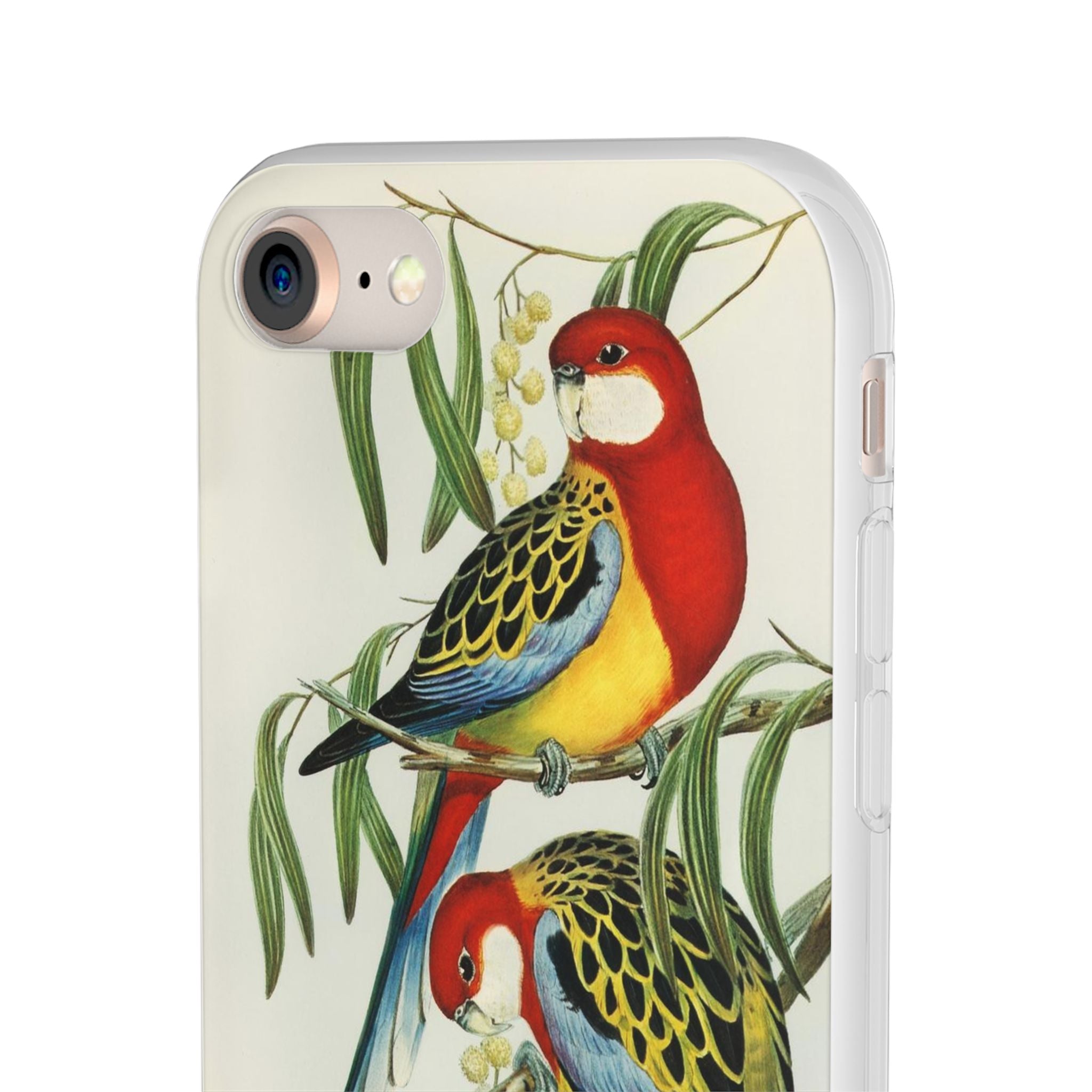 Rosehill Parakeet by Elizabeth Gould - Flexi Case