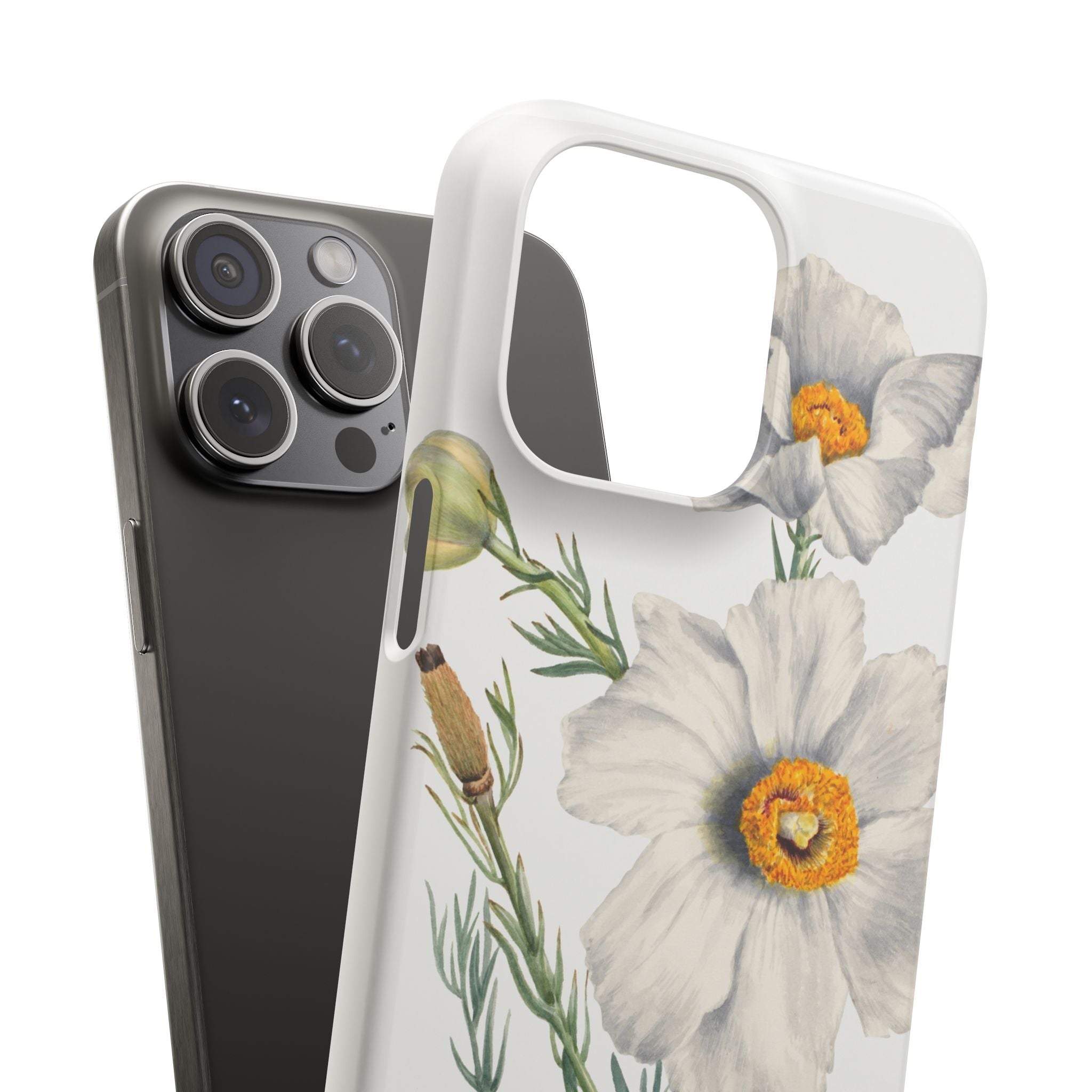 Matilija Poppy by Mary Vaux Walcott - Snap Case