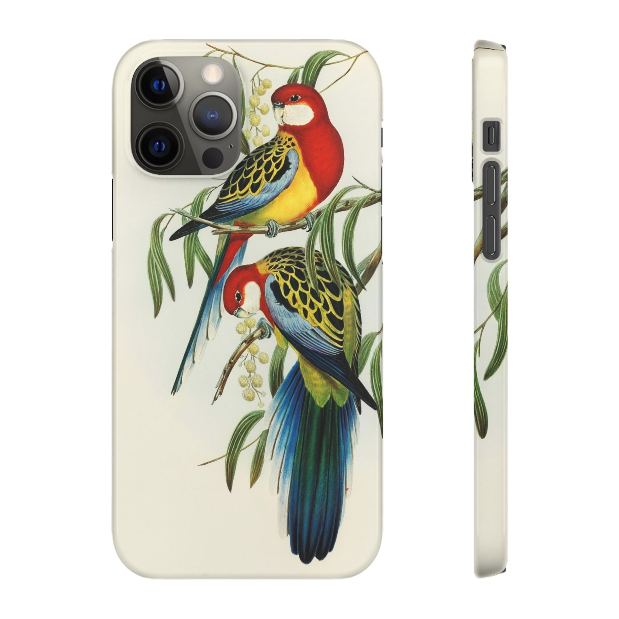 Rosehill Parakeet by Elizabeth Gould - Snap Case