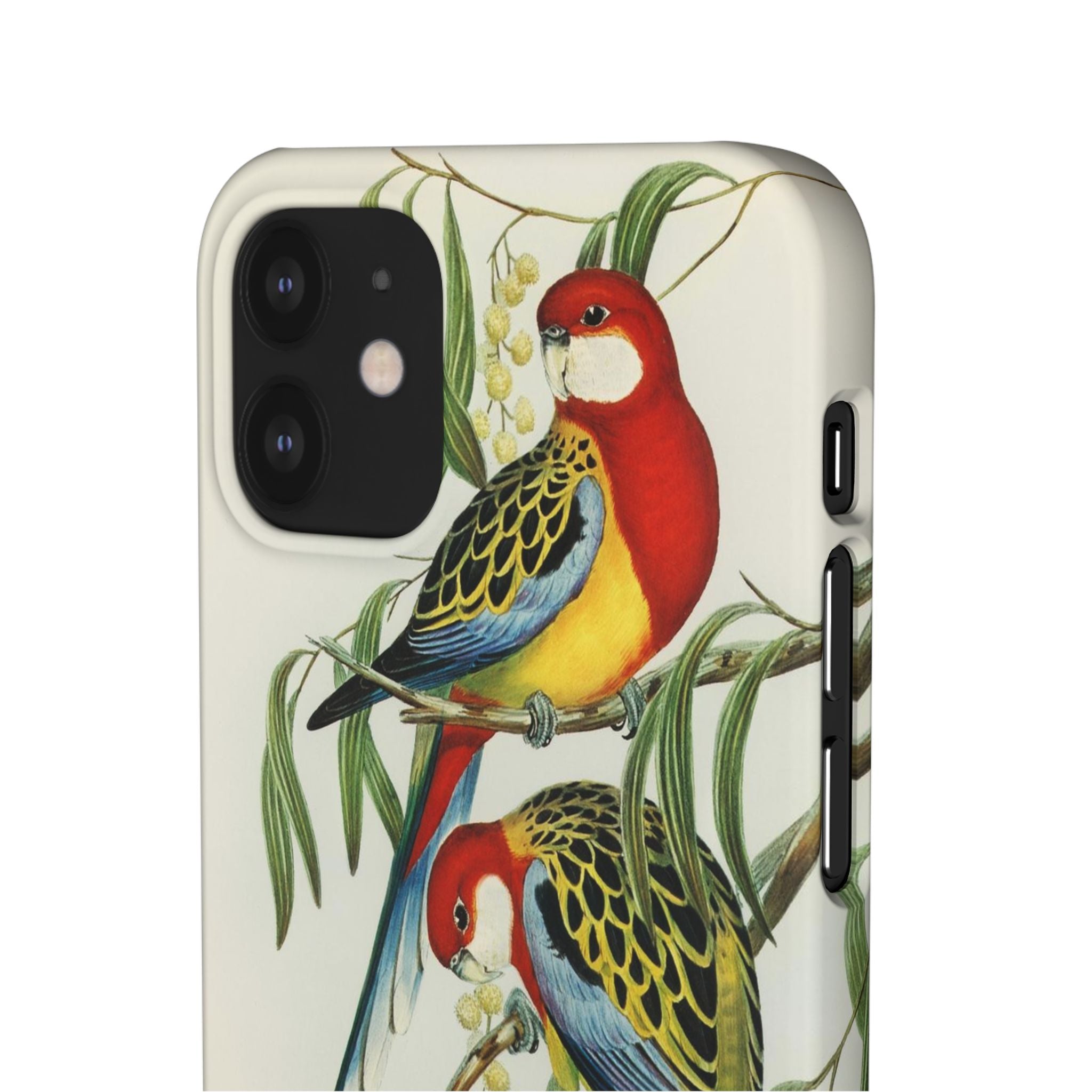 Rosehill Parakeet by Elizabeth Gould - Snap Case