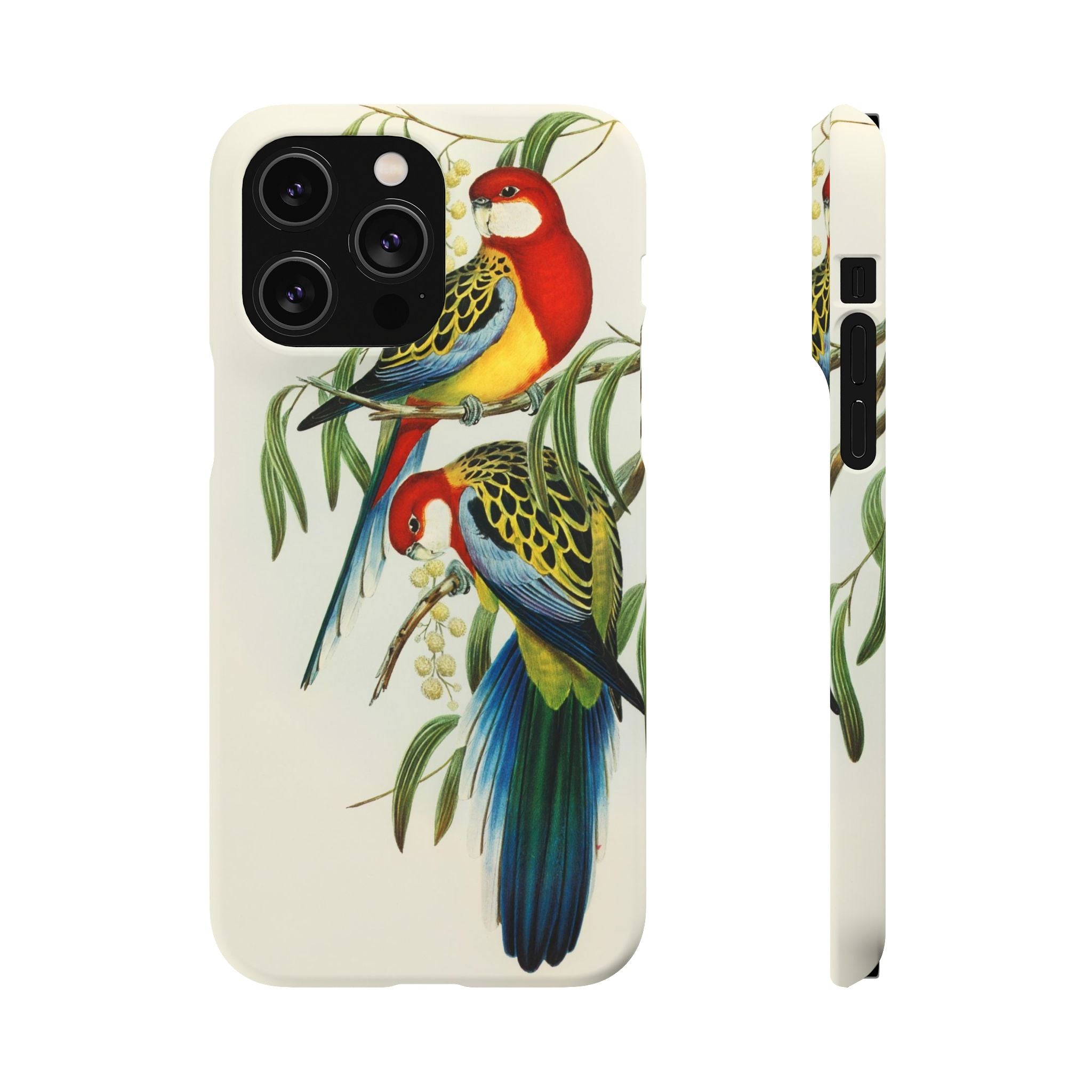 Rosehill Parakeet by Elizabeth Gould - Snap Case