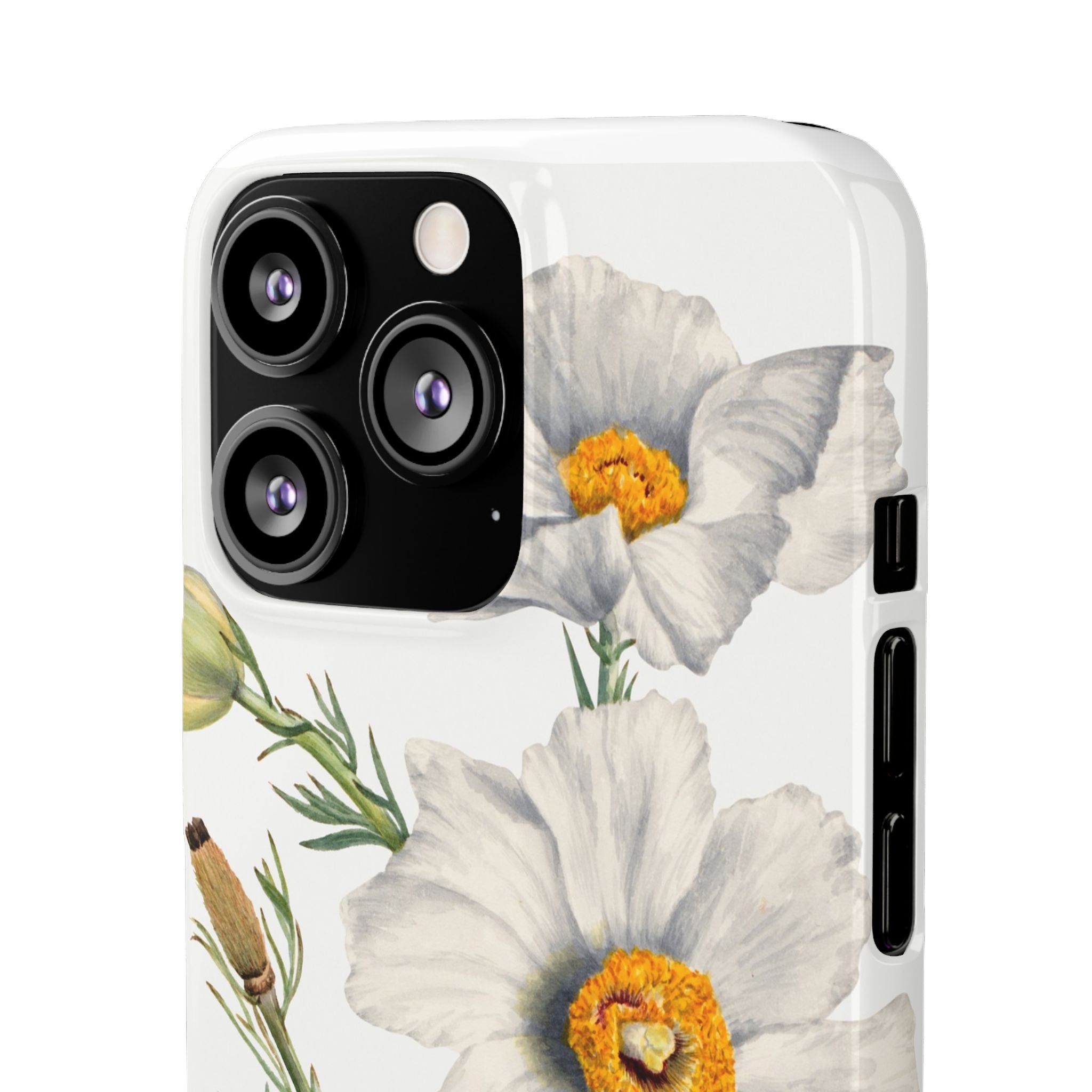 Matilija Poppy by Mary Vaux Walcott - Snap Case