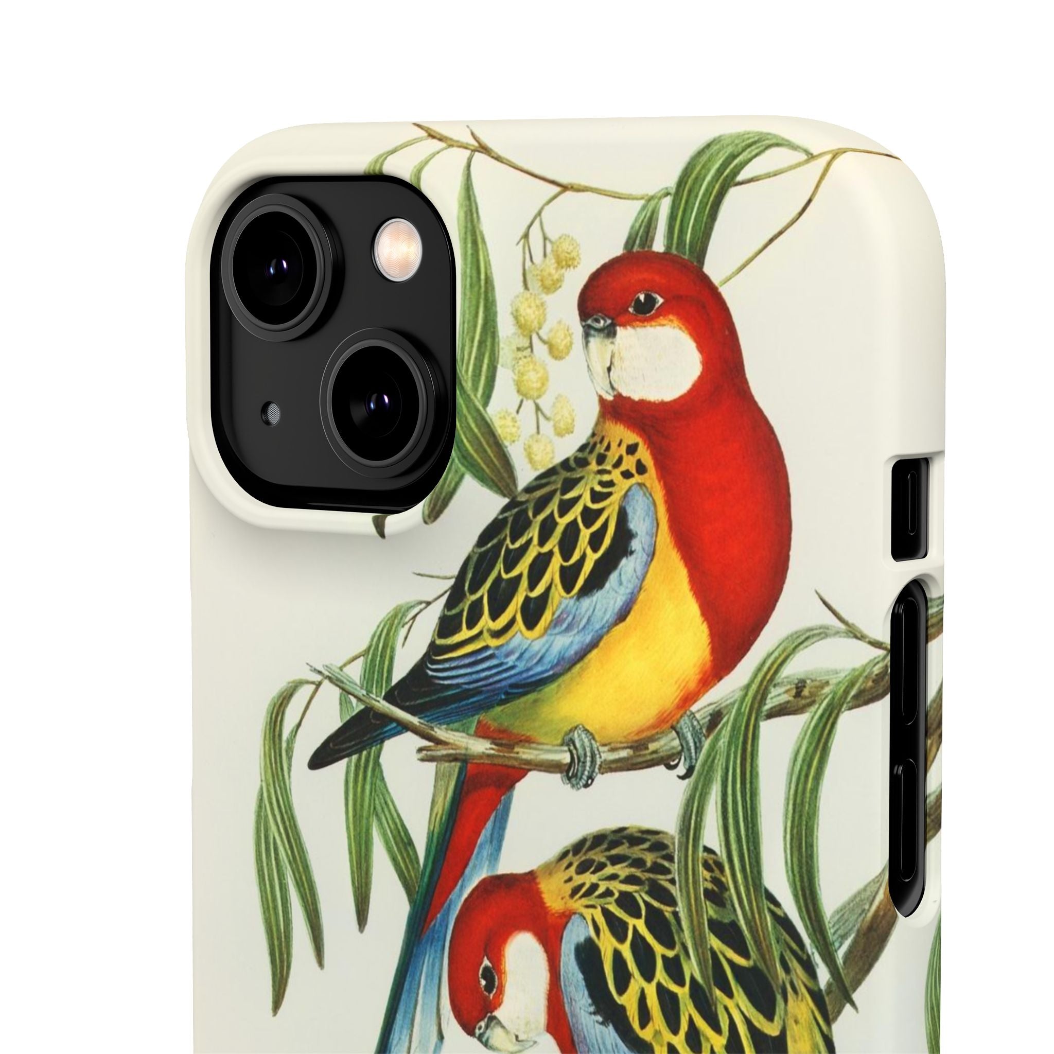 Rosehill Parakeet by Elizabeth Gould - Snap Case