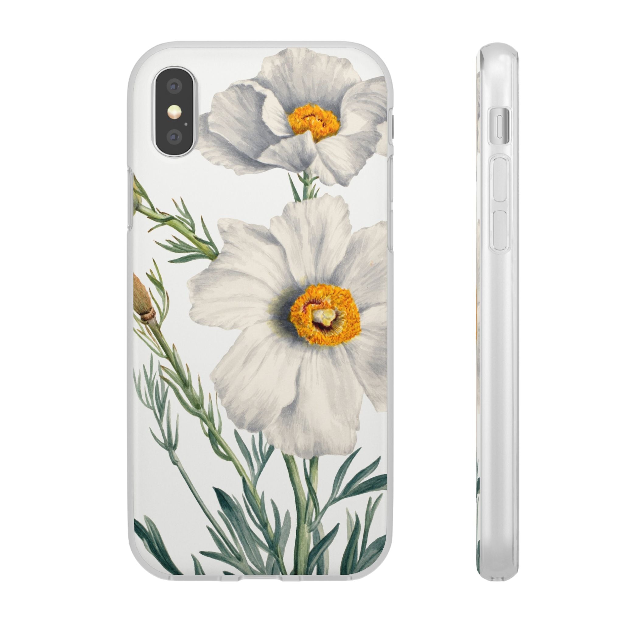 Matilija Poppy by Mary Vaux Walcott - Flexi Case