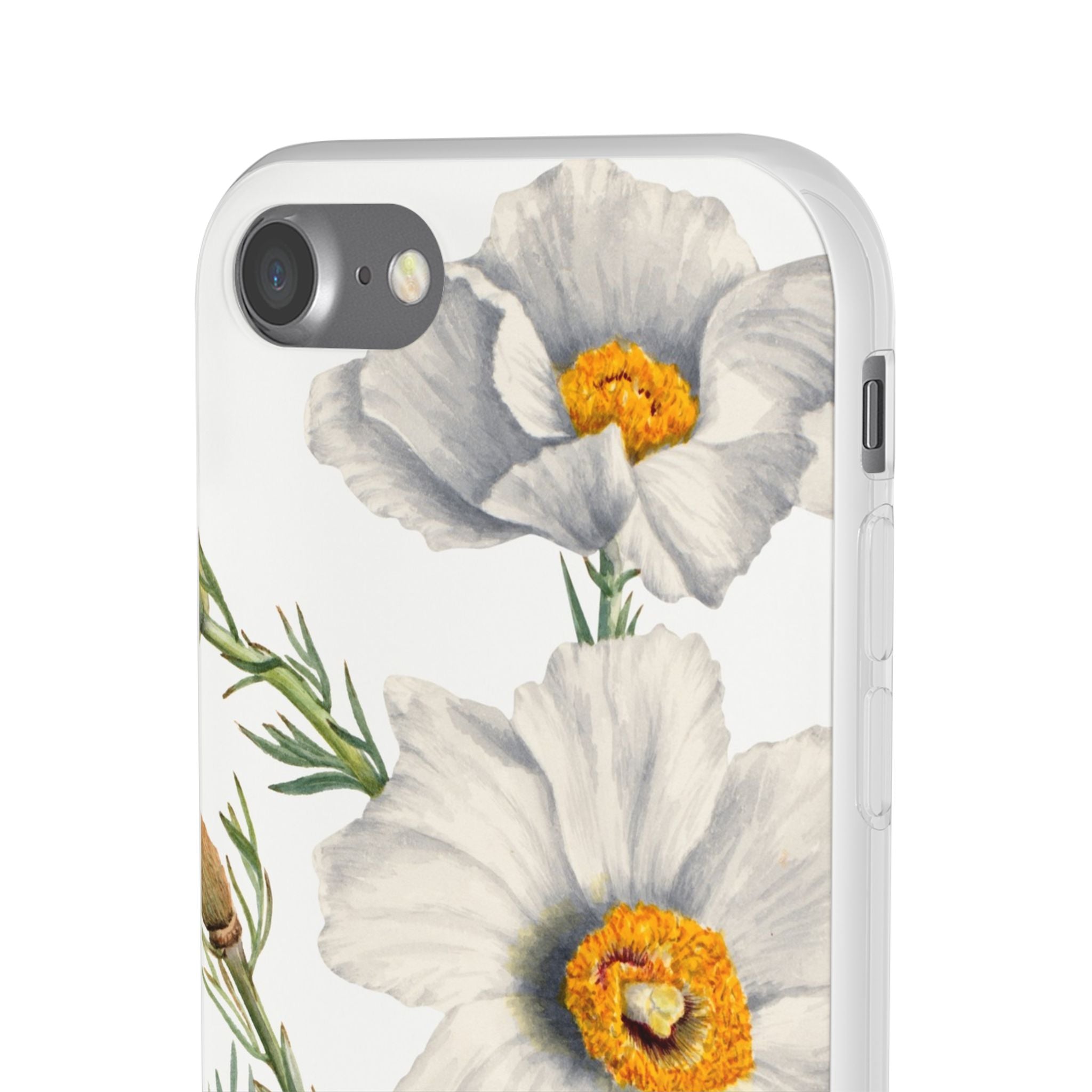 Matilija Poppy by Mary Vaux Walcott - Flexi Case