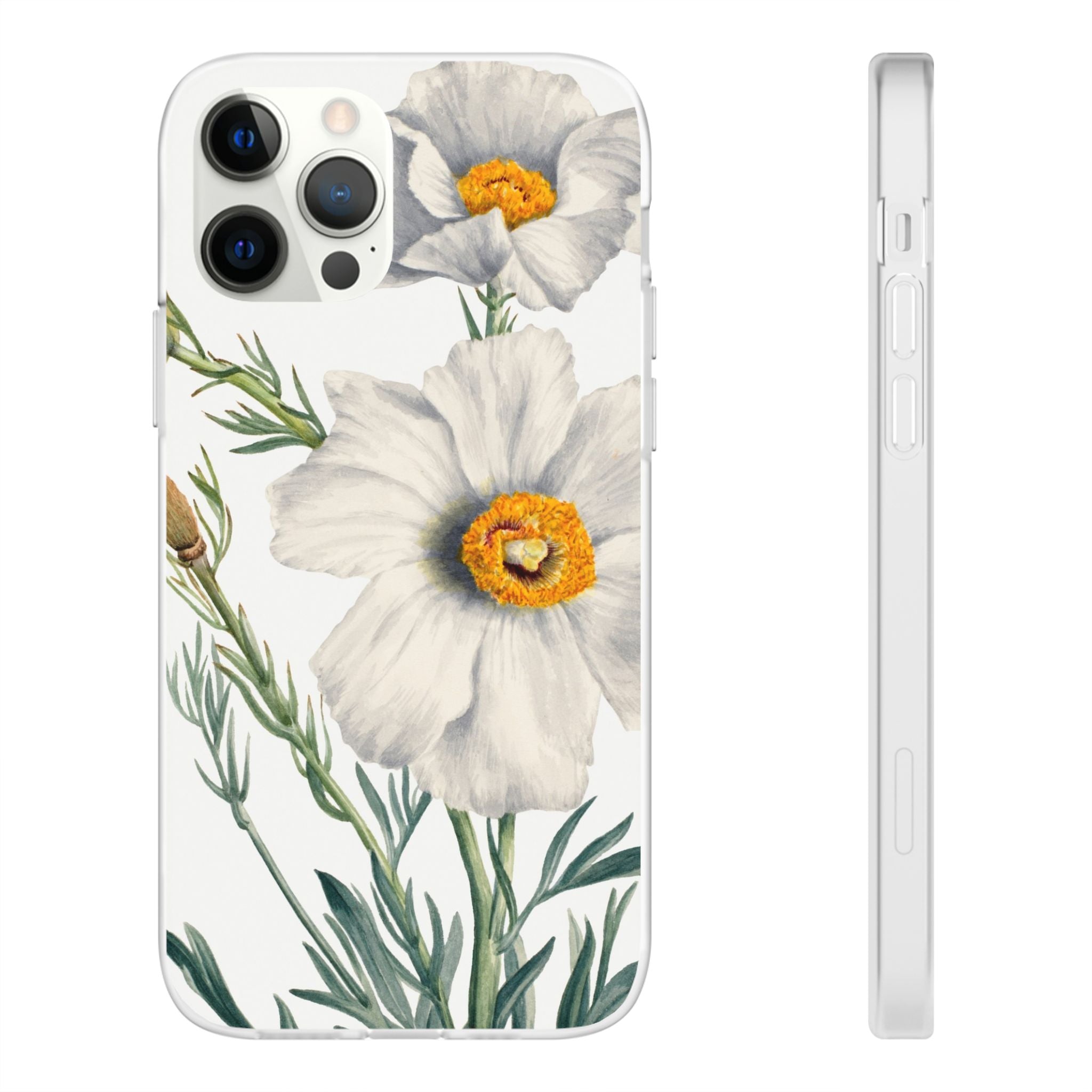 Matilija Poppy by Mary Vaux Walcott - Flexi Case