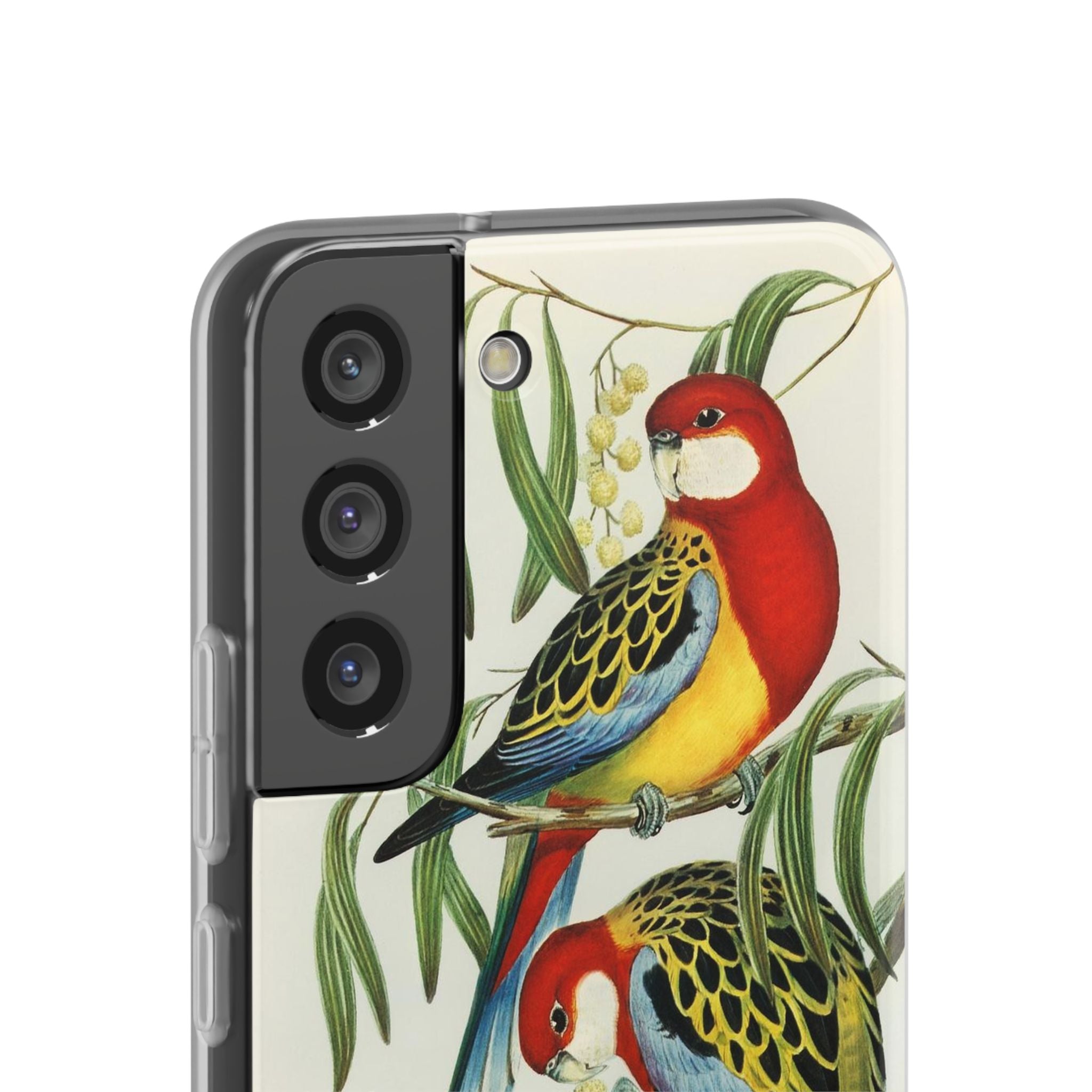 Rosehill Parakeet by Elizabeth Gould - Flexi Case