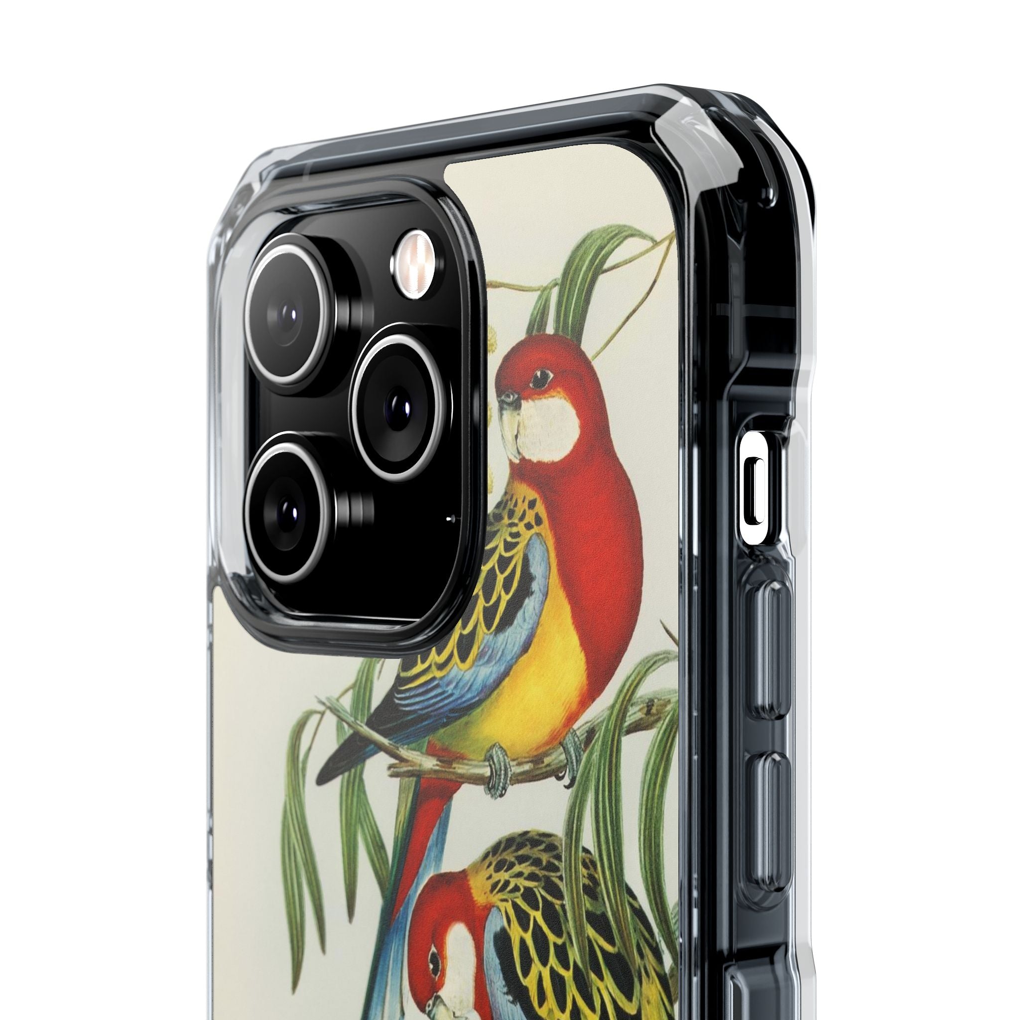 Rosehill Parakeet by Elizabeth Gould - Magnetic Clear Impact Case