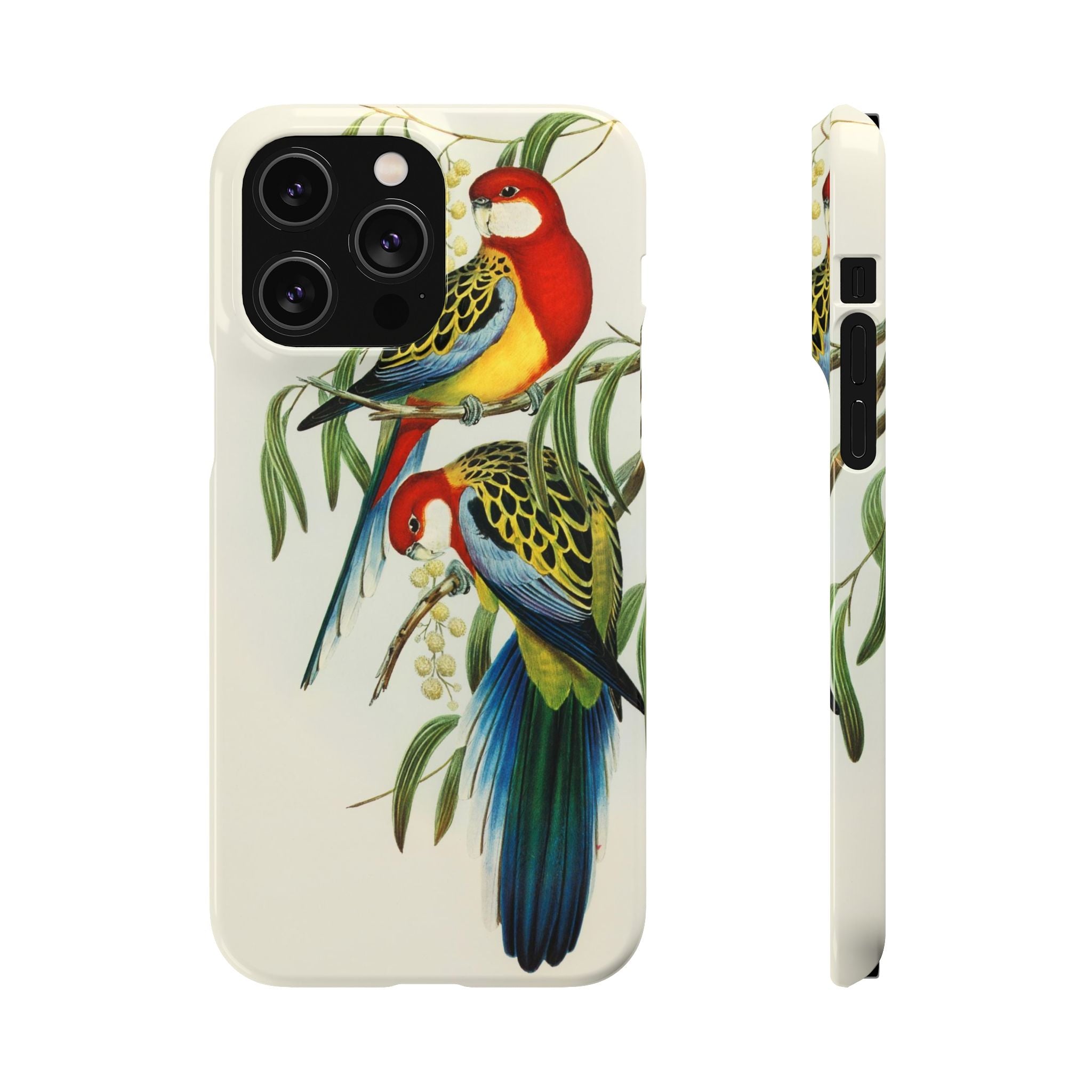 Rosehill Parakeet by Elizabeth Gould - Snap Case