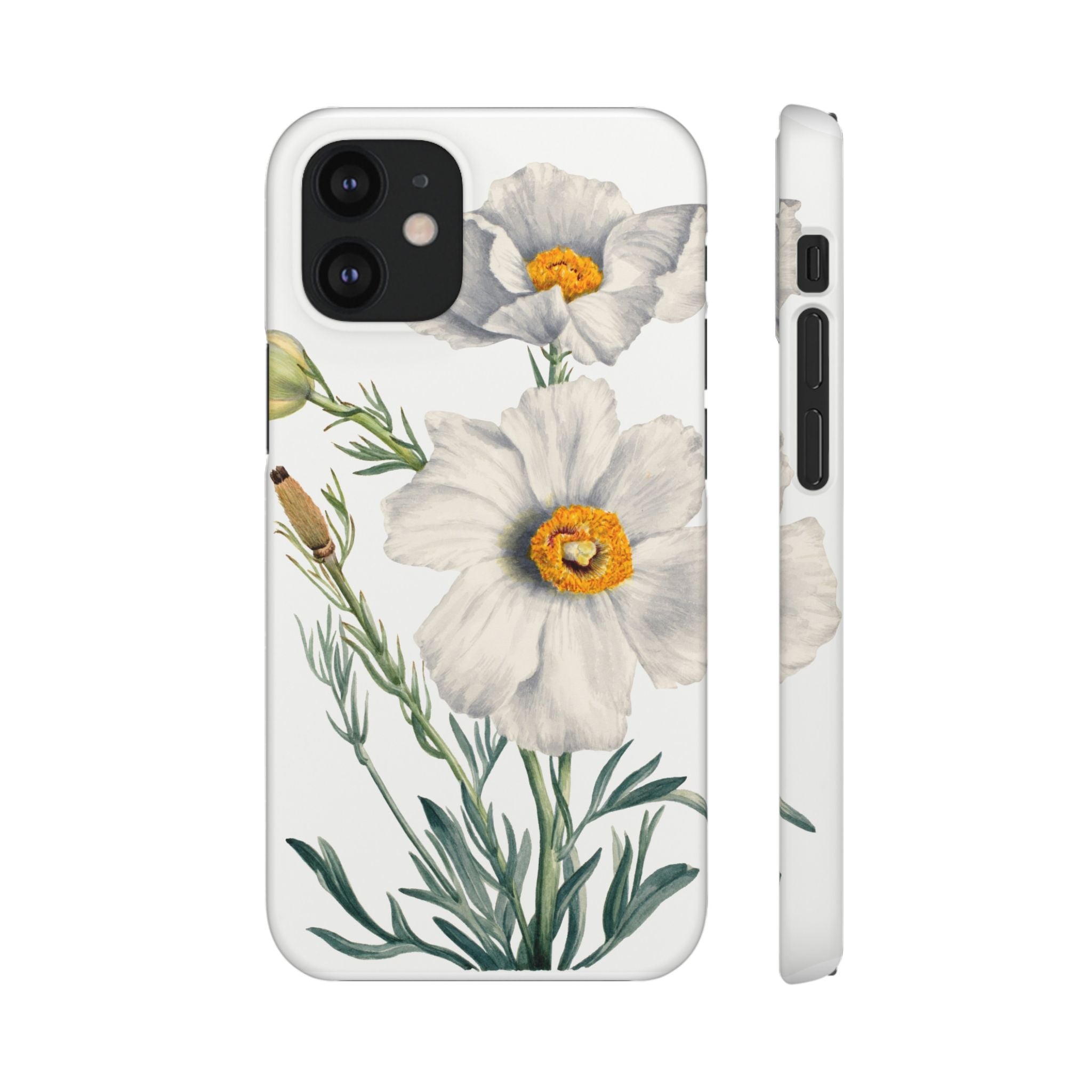 Matilija Poppy by Mary Vaux Walcott - Snap Case